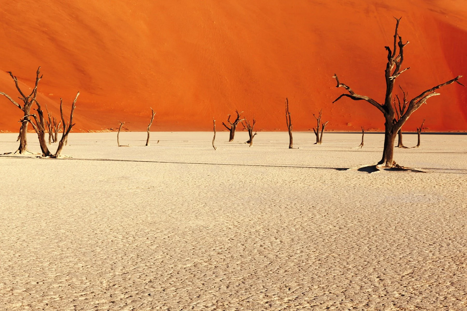 julianwalter_namibia-namib_019.jpg