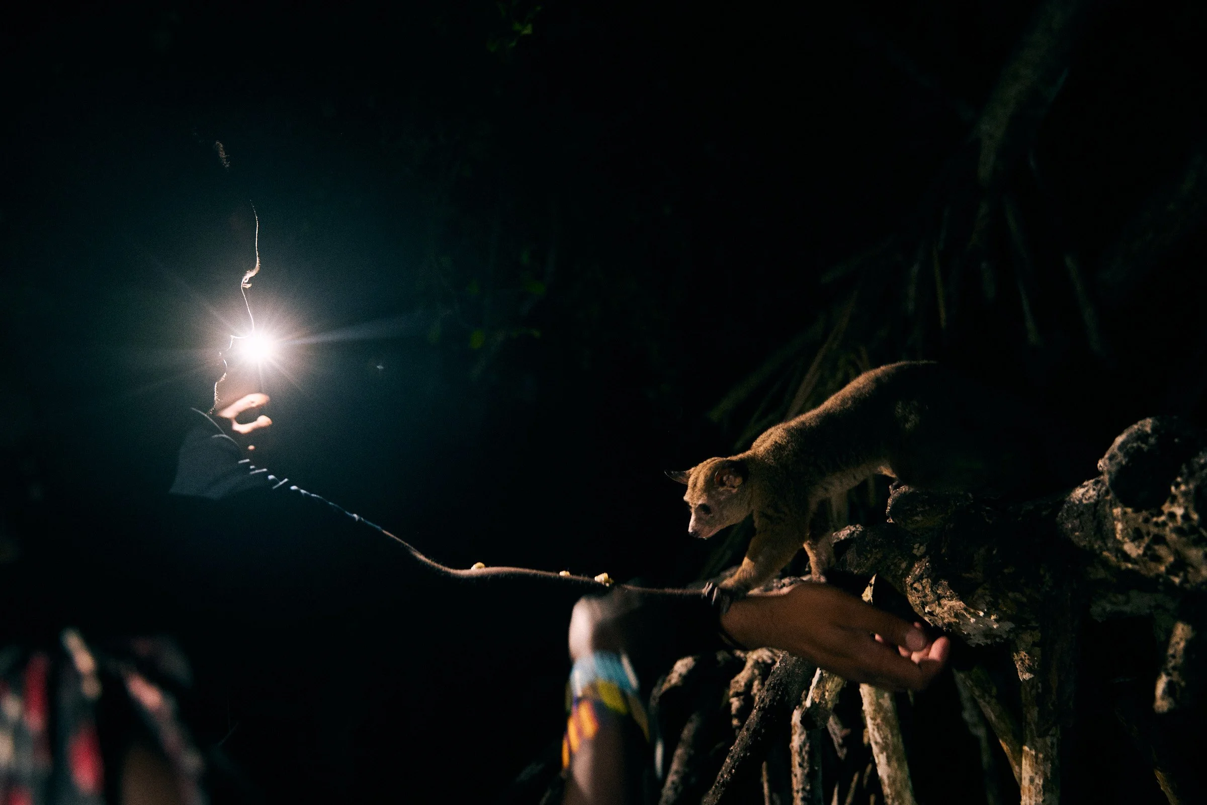 260717_julianwalter_zanzibar_4070.jpg