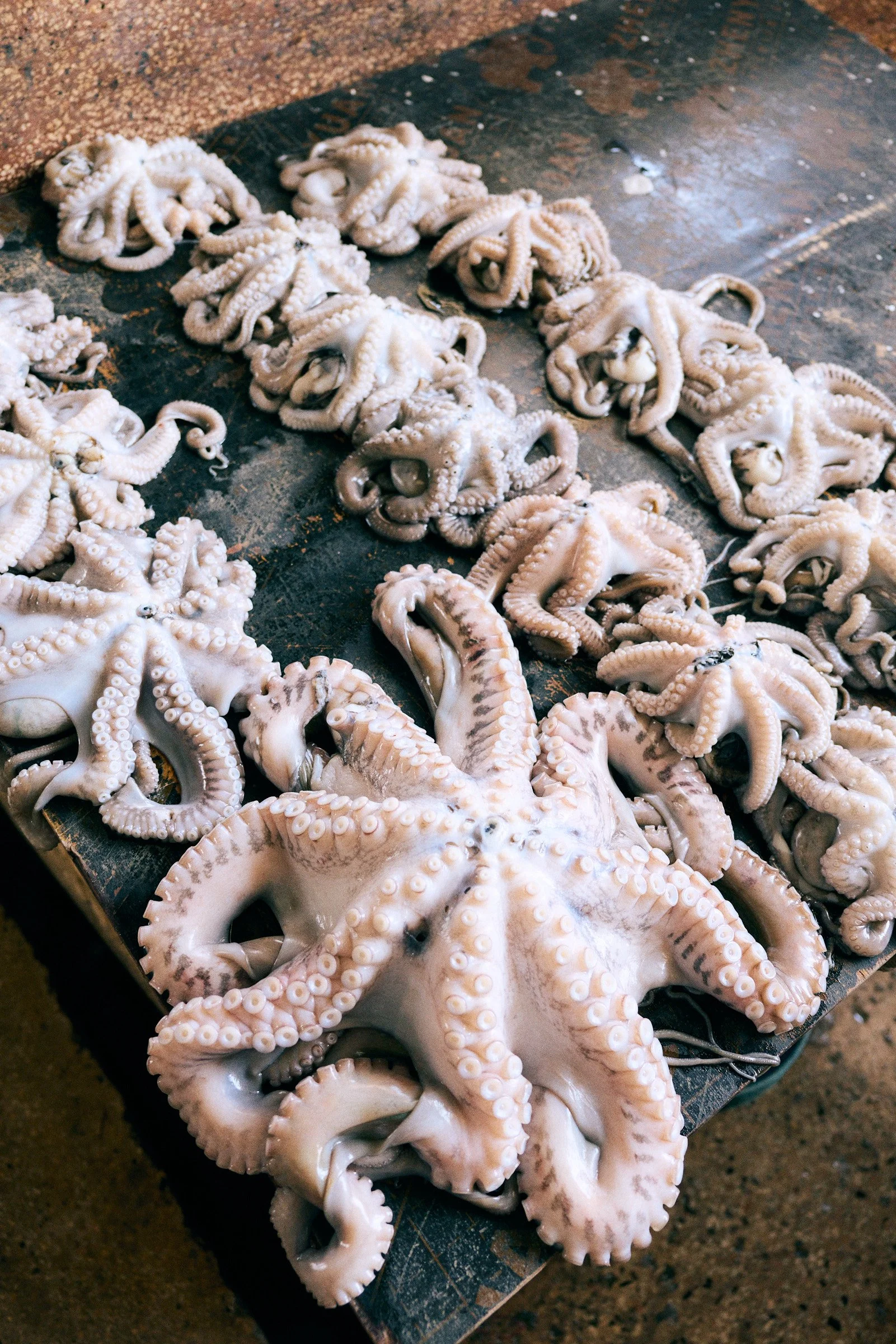 260715_julianwalter_zanzibar_1044.jpg