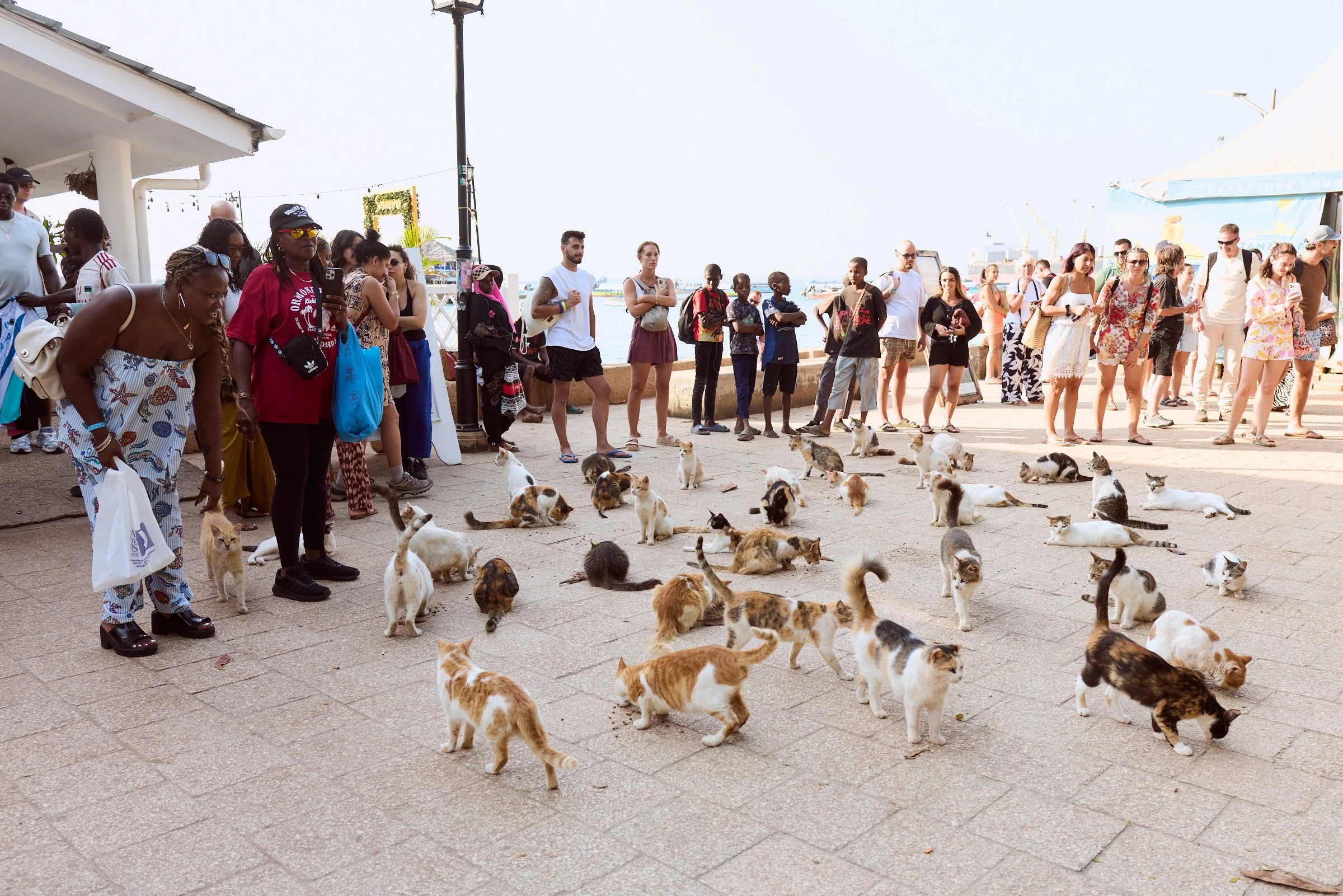 260715_julianwalter_zanzibar_1459.jpg