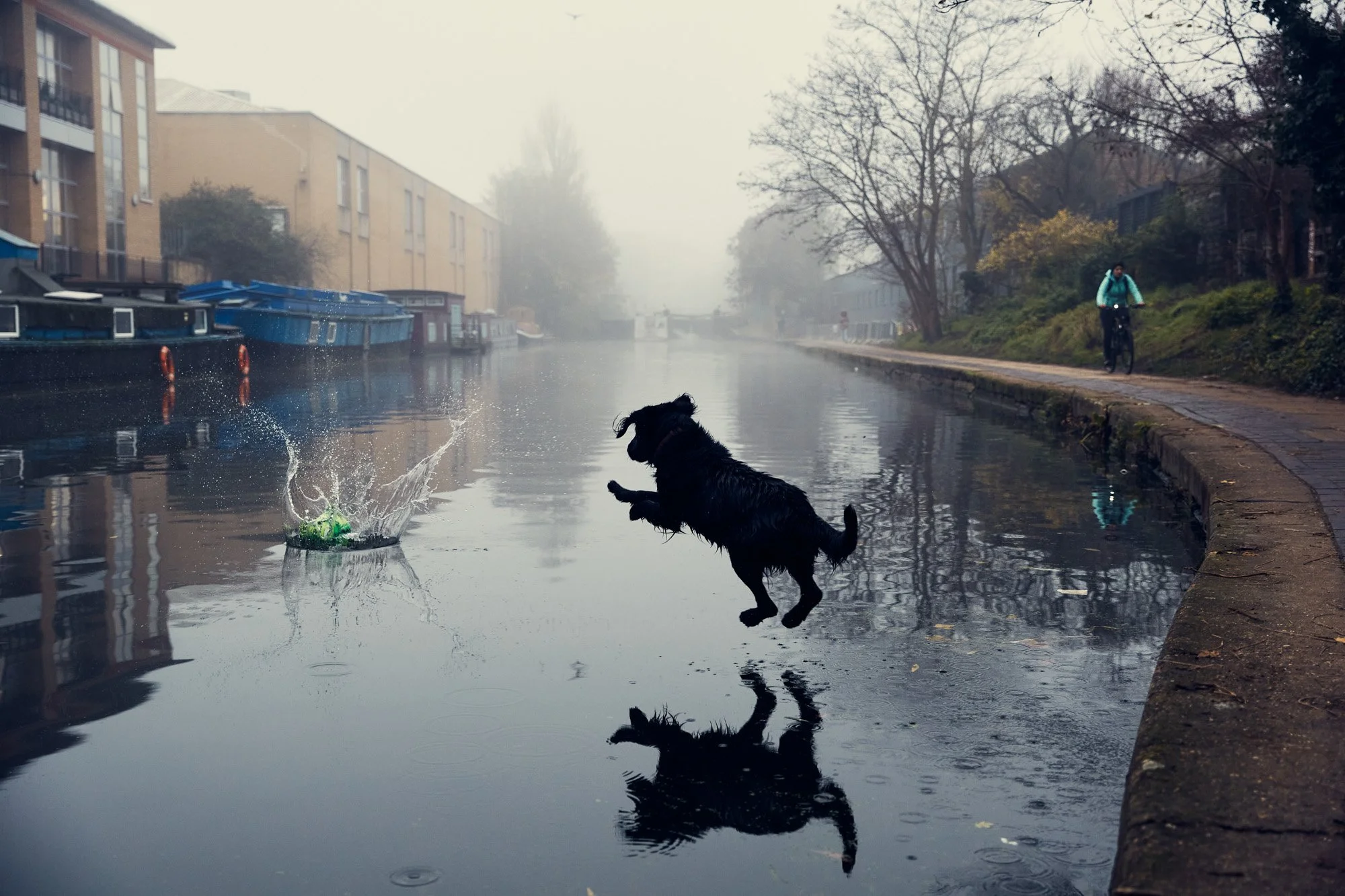 dog-jumping-fog-london-canals-julianwalter.jpg