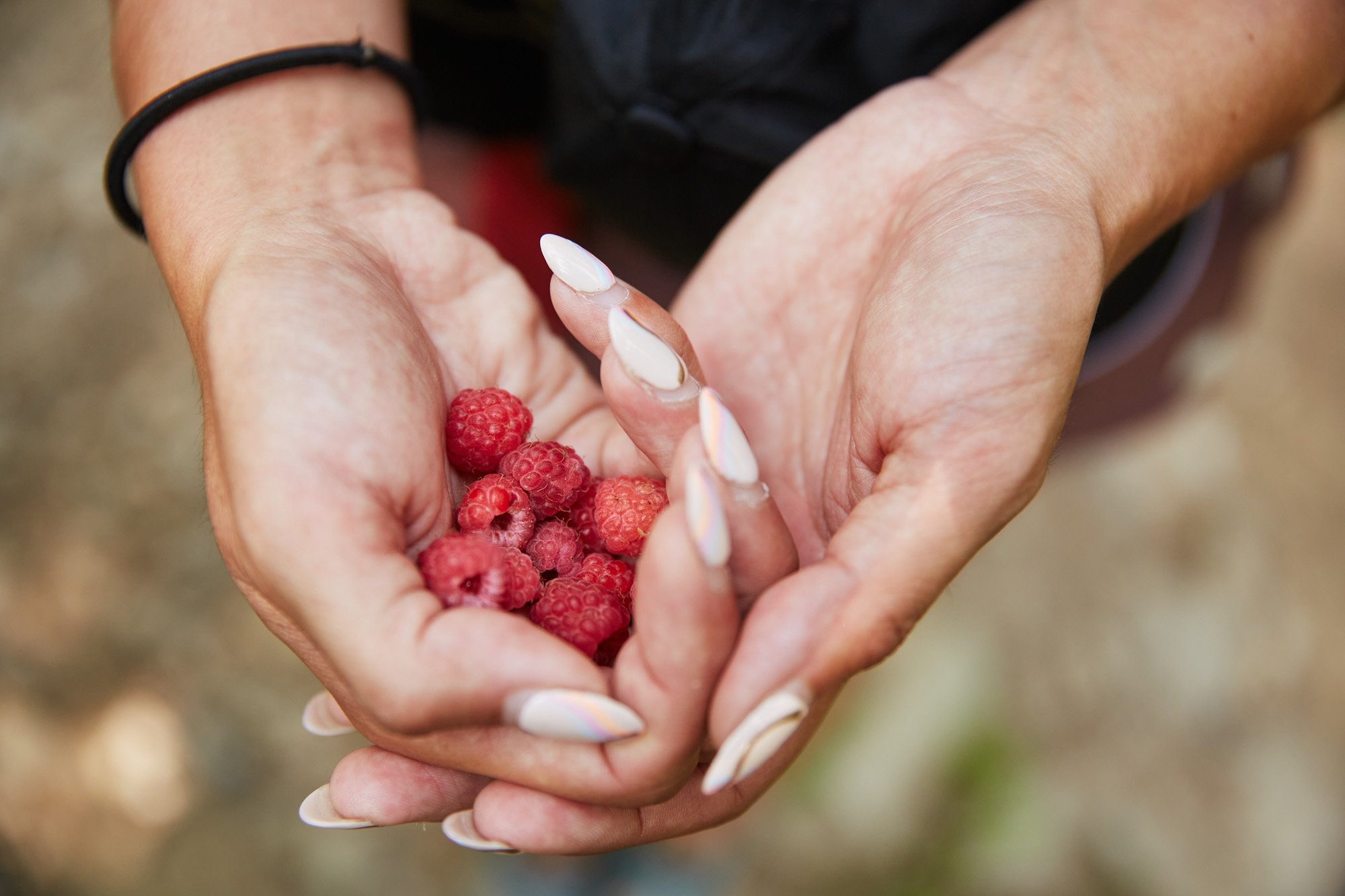 julianwalter-berries-tourdumontblanc-france.jpg