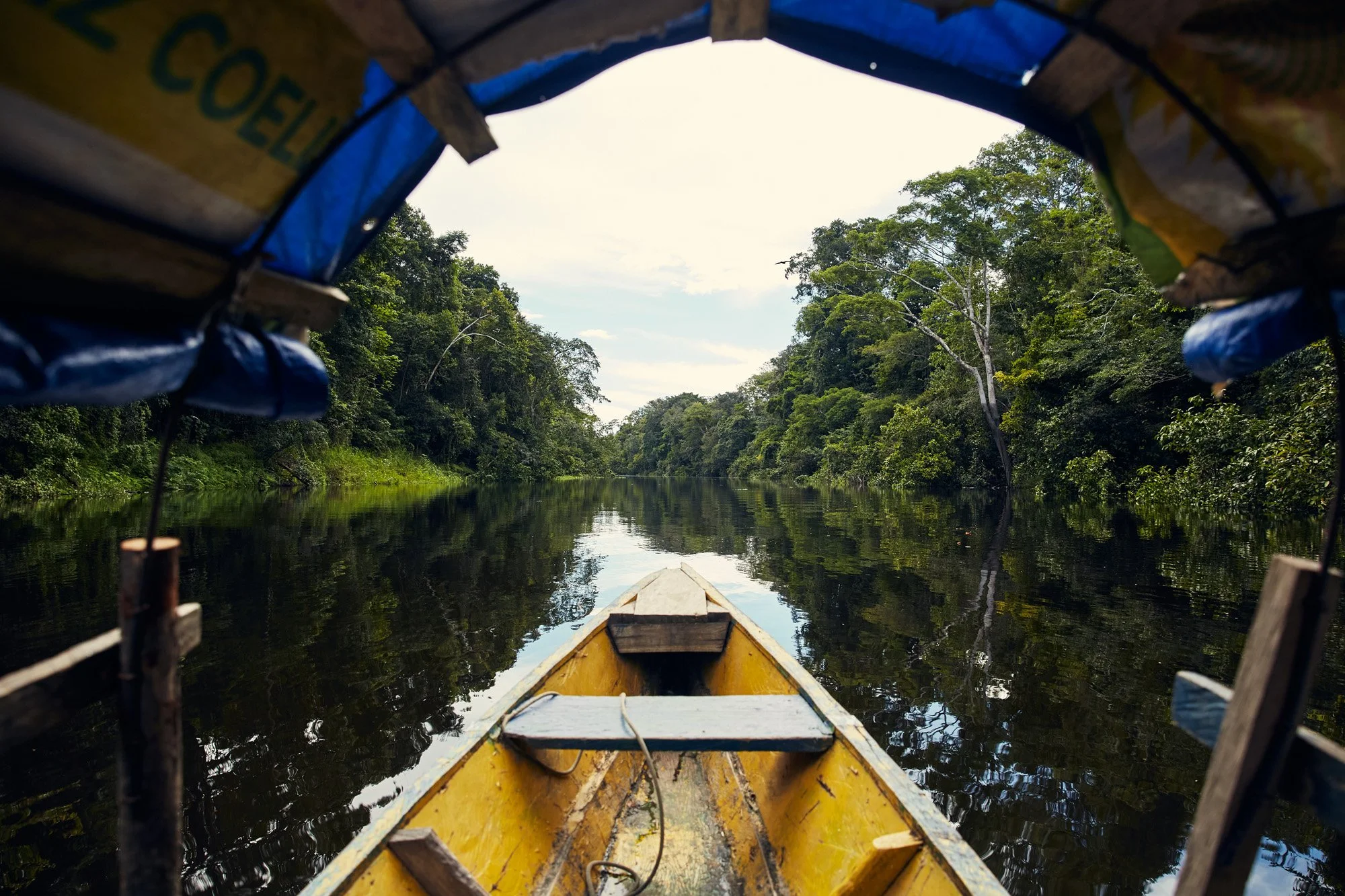 View from a yellow canoe on a calm river in the Amazon region of Colombia, surrounded by dense green forest.