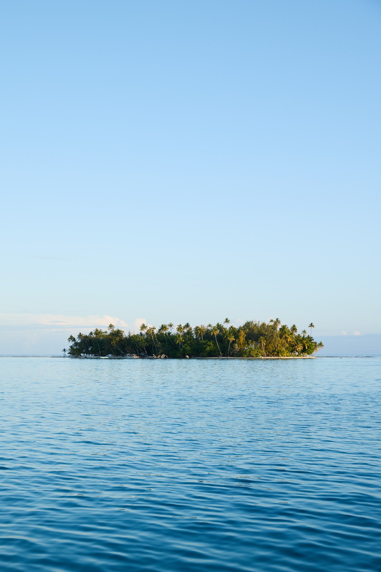A small tropical island, or Motu, covered with palm trees surrounded by calm blue ocean waters under a clear blue sky off of Taha'a in French Polynesia.