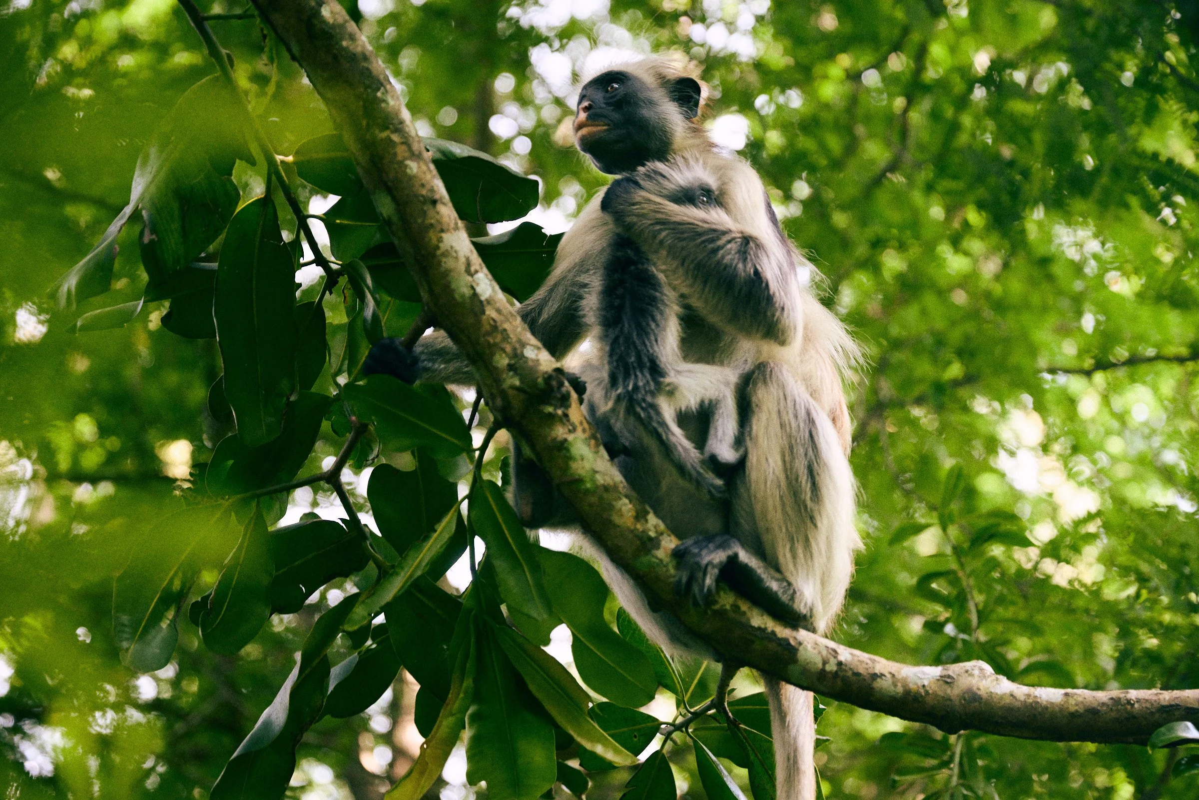 260716_julianwalter_zanzibar_2217.jpg