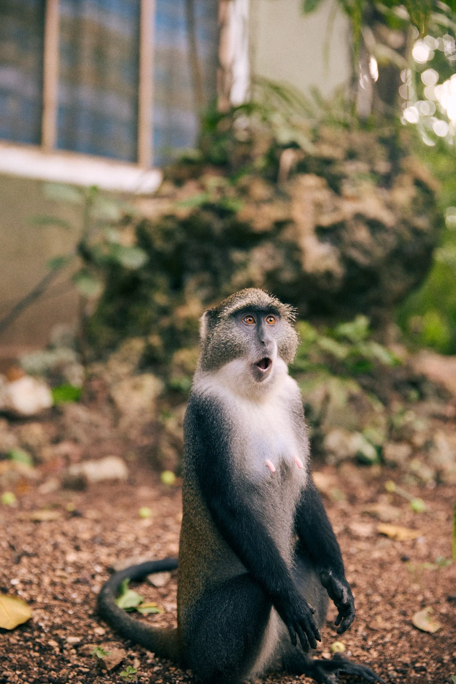 260716_julianwalter_zanzibar_1783.jpg