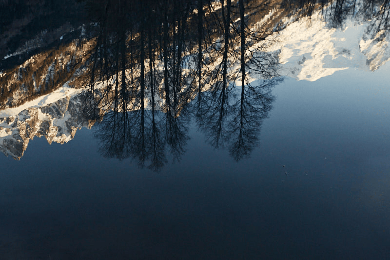 Snow-covered mountains reflected in a calm, lake with leafless trees at the edge, in Chamonix France