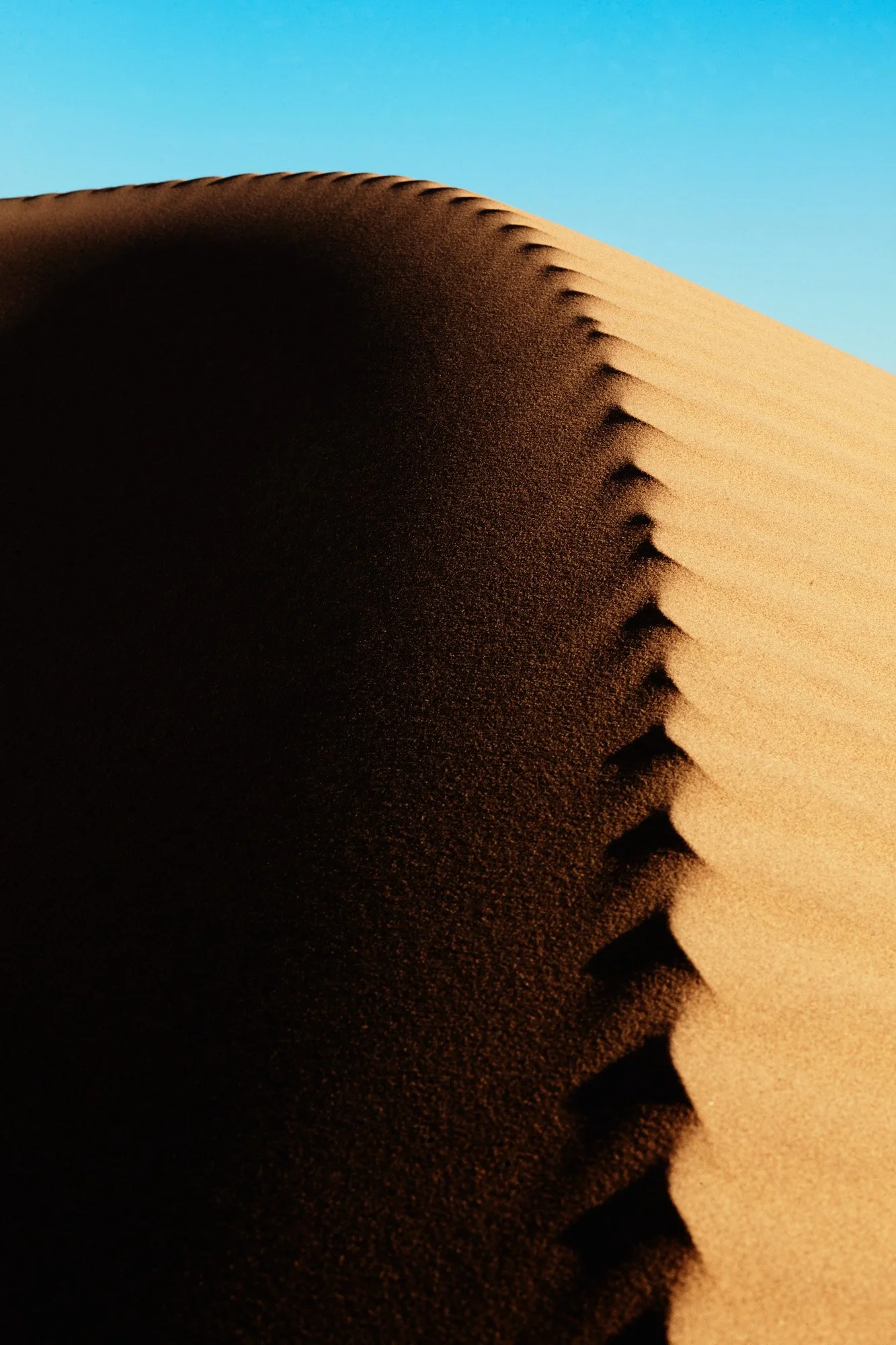 Close-up of sand dunes in the Sahara Desert in Morocco with rippled patterns and a clear blue sky above.