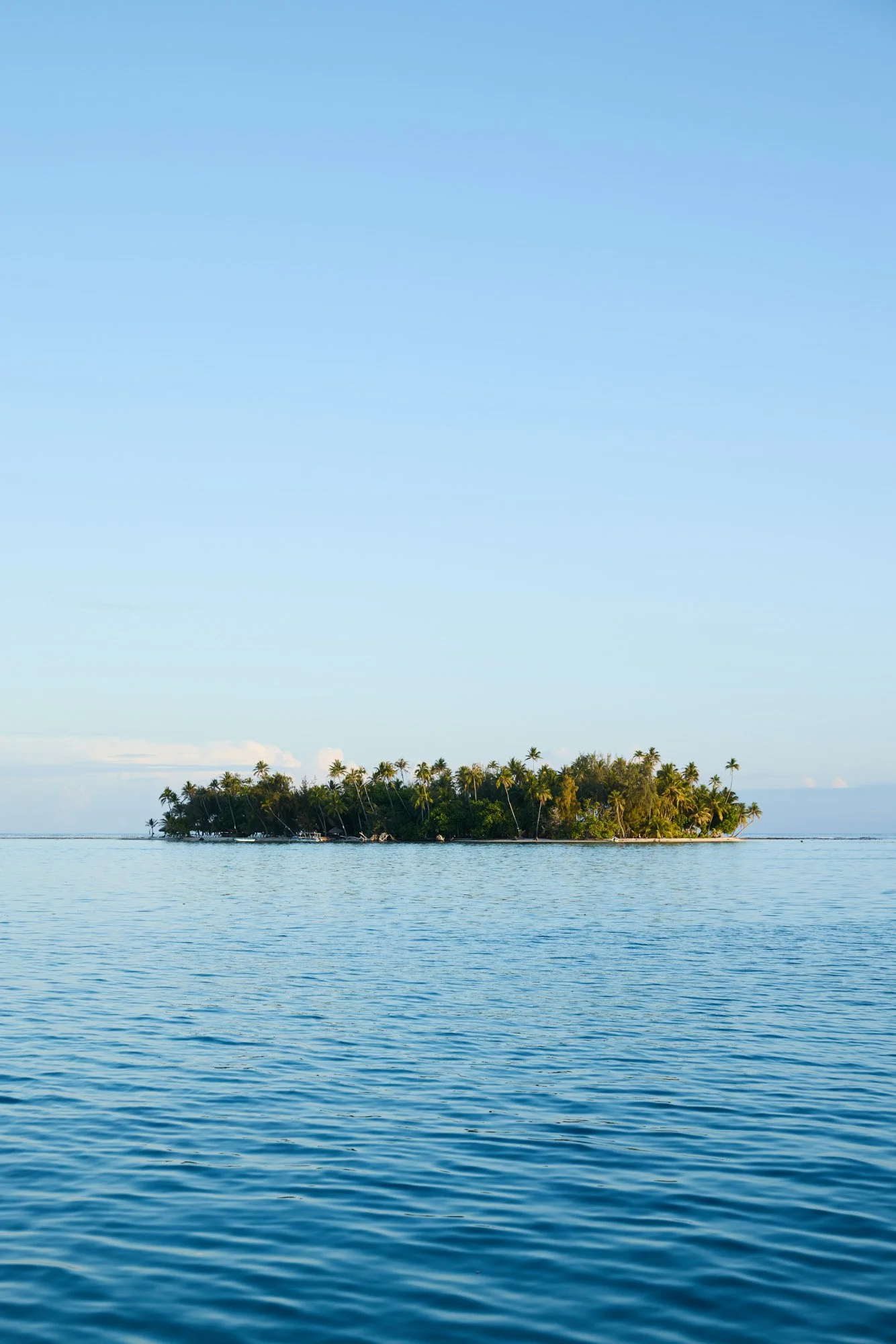 julianwalter-motu-island-tahaa-tahiti-frenchpolynesia.jpg