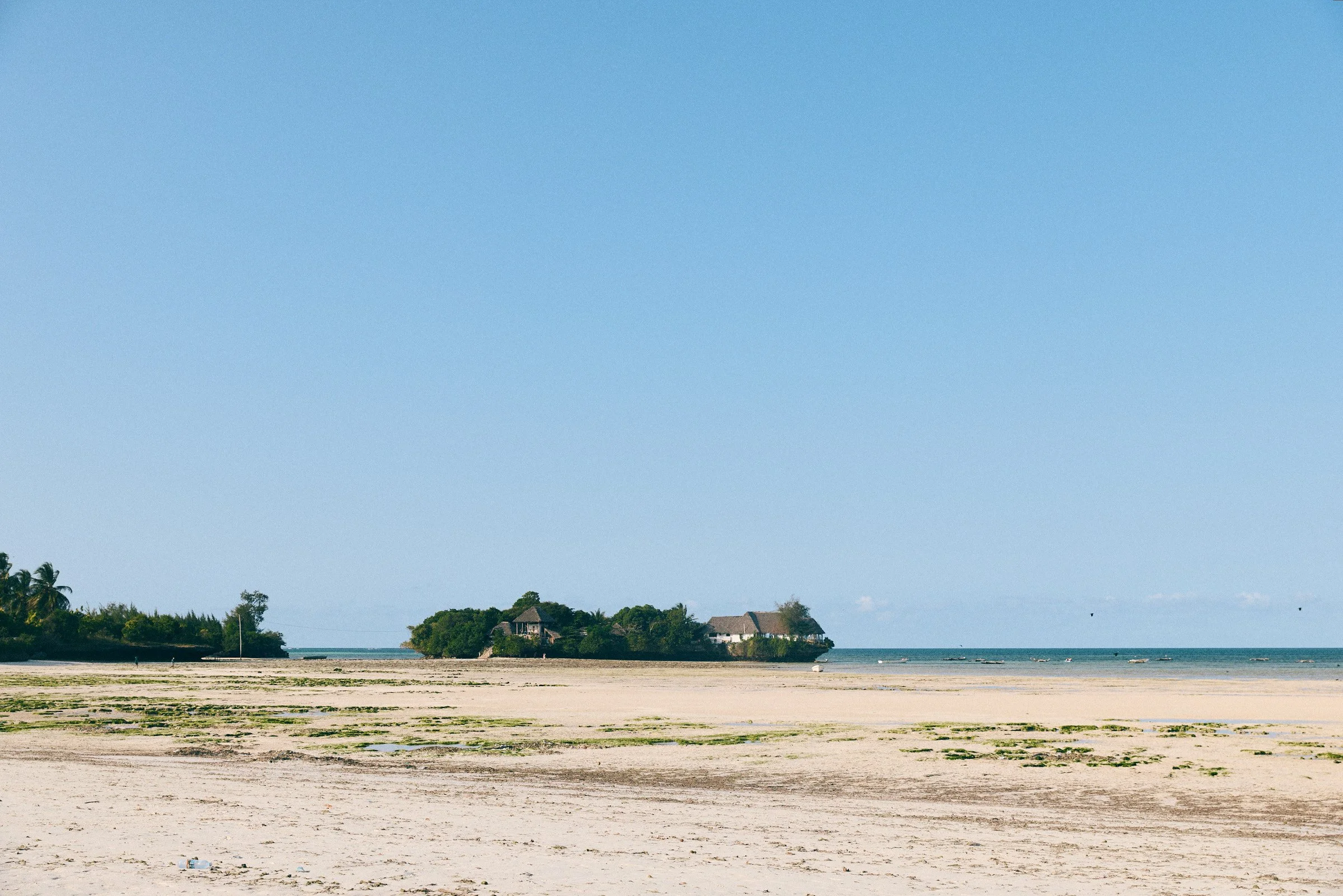 260719_julianwalter_zanzibar_12482.jpg