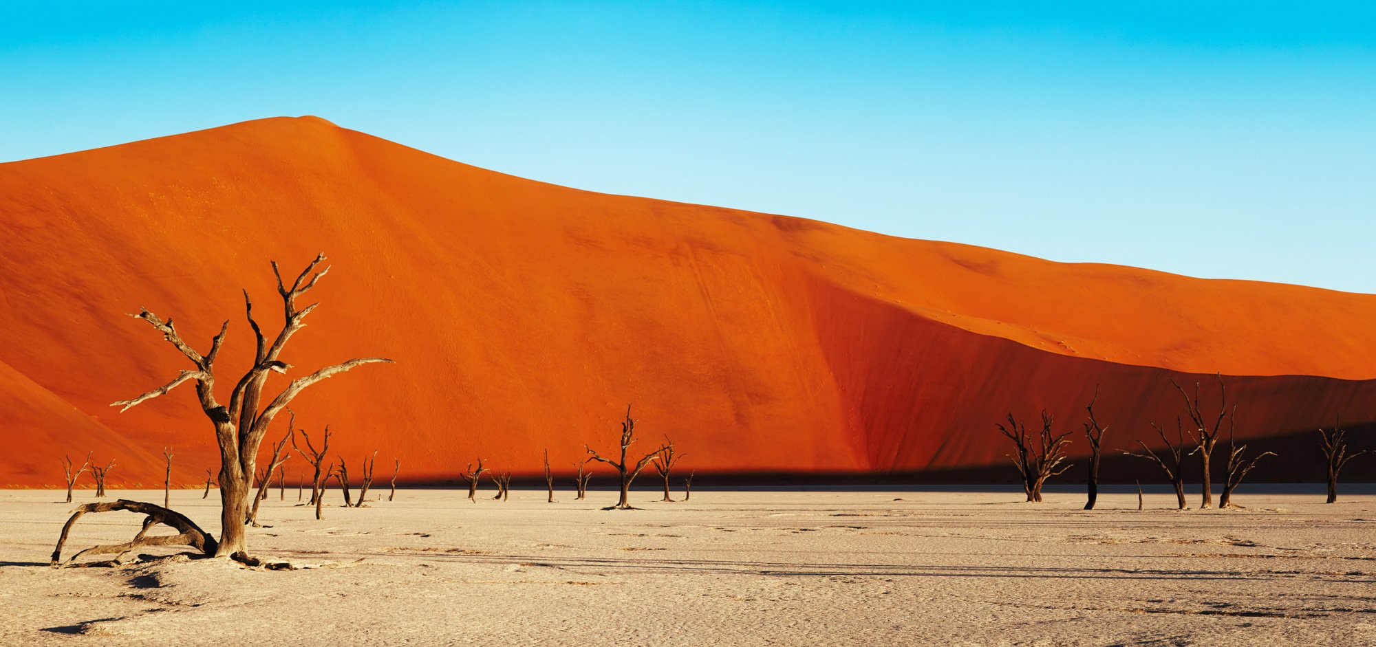sossusvlei-panorama-dune-sunset-julianwalter.jpg