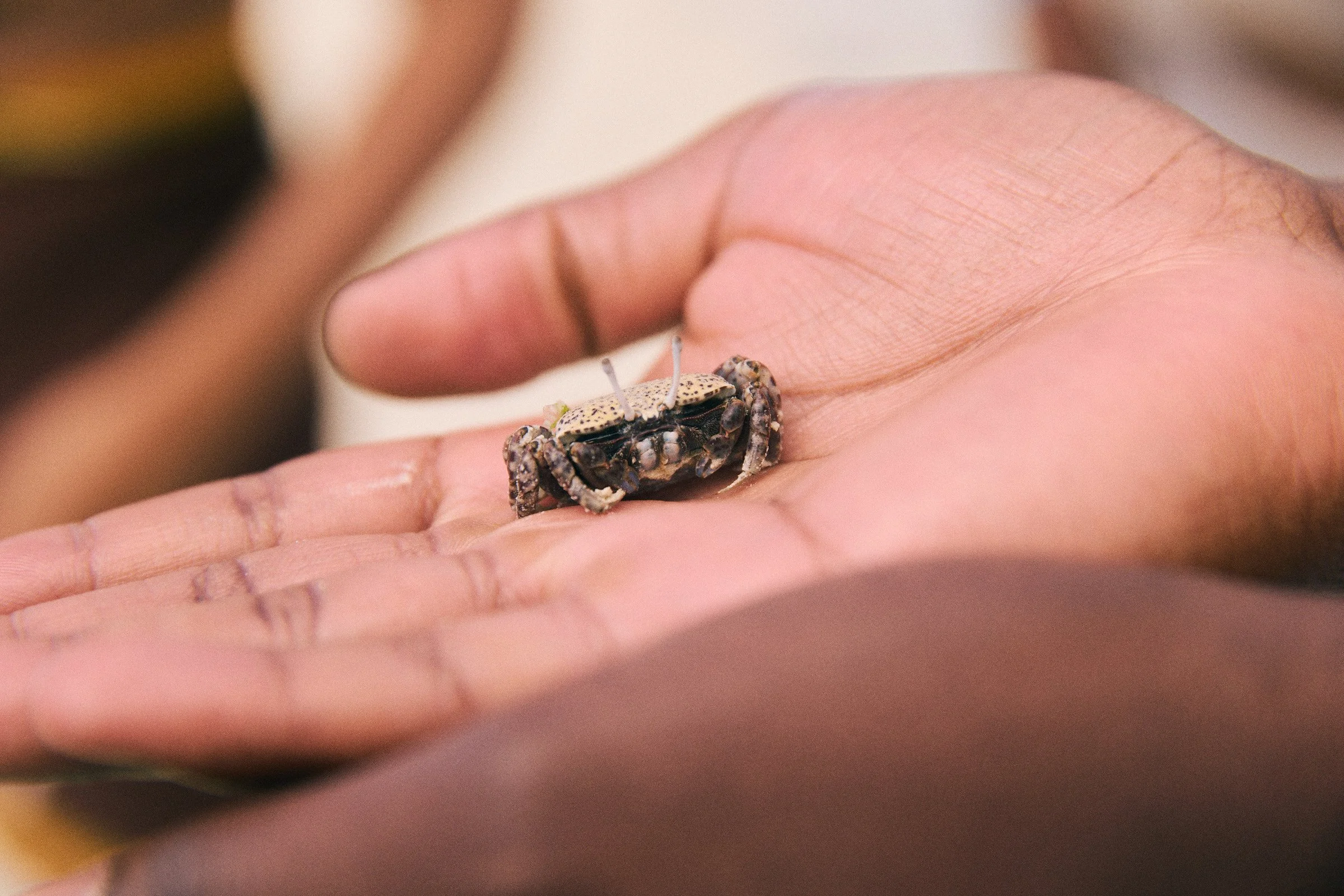 260719_julianwalter_zanzibar_12056.jpg