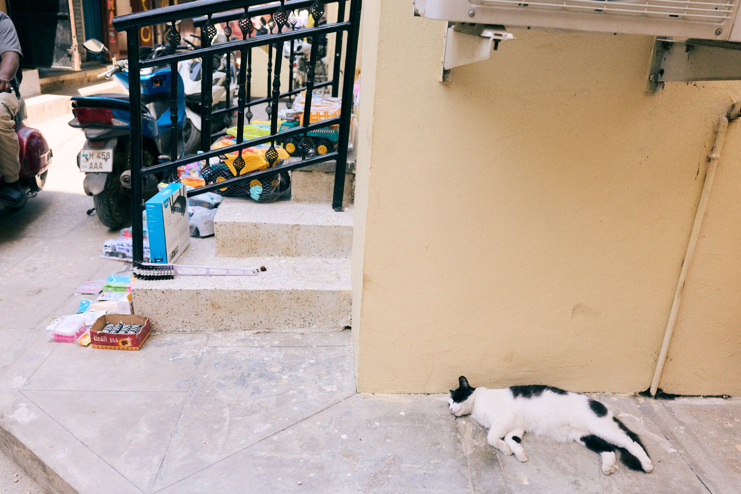 260715_julianwalter_zanzibar_1020.jpg