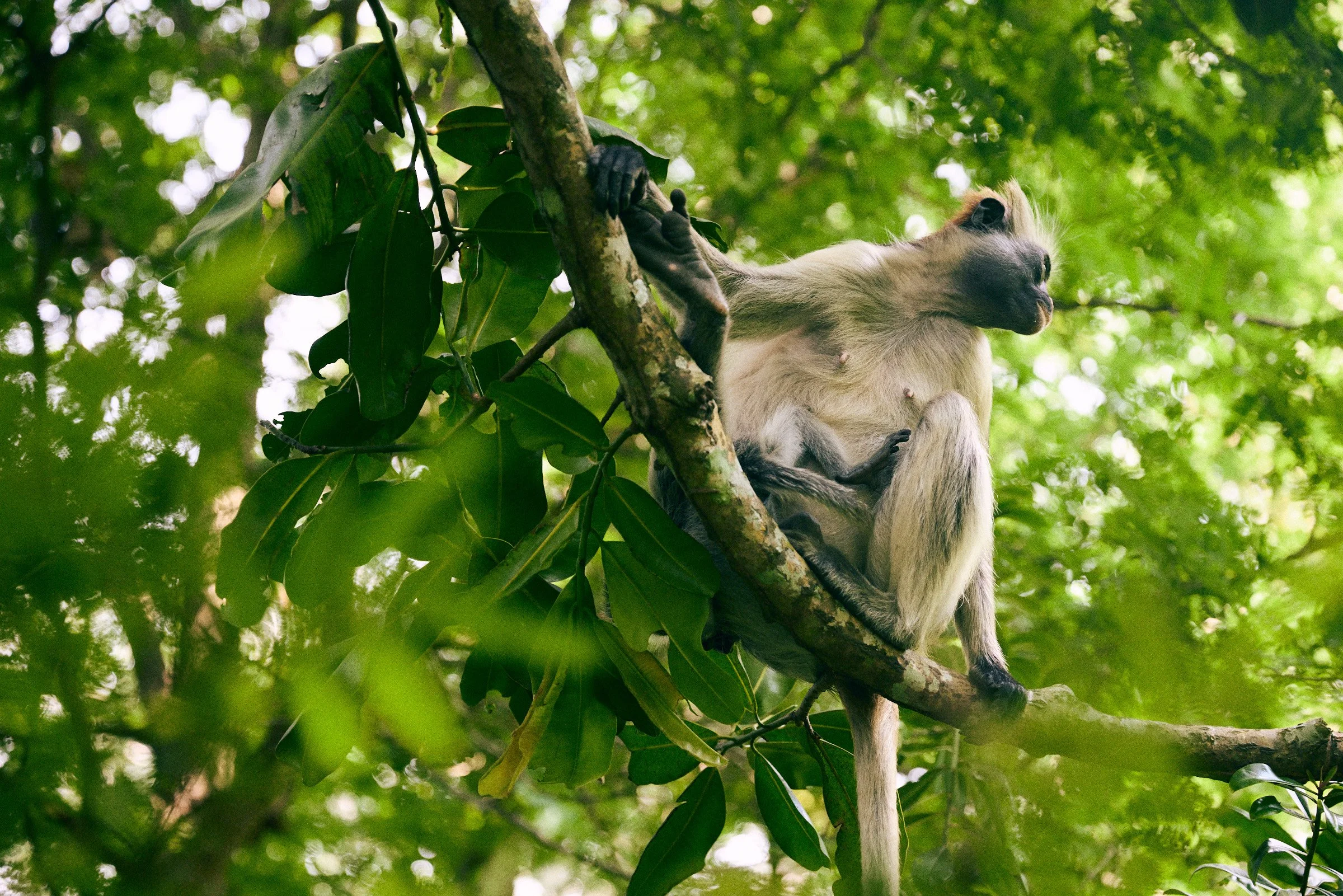 260716_julianwalter_zanzibar_2189.jpg