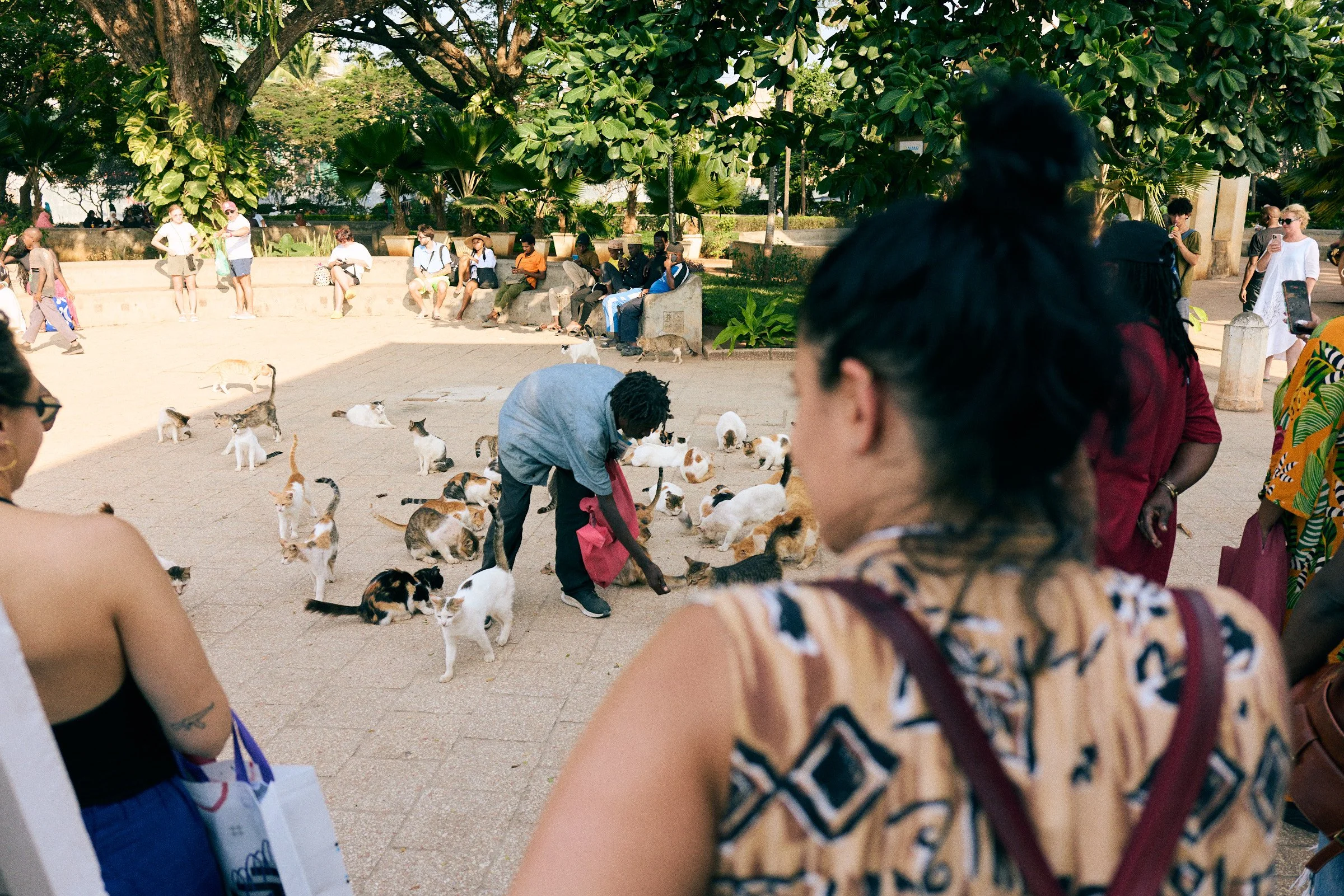 260715_julianwalter_zanzibar_1442.jpg