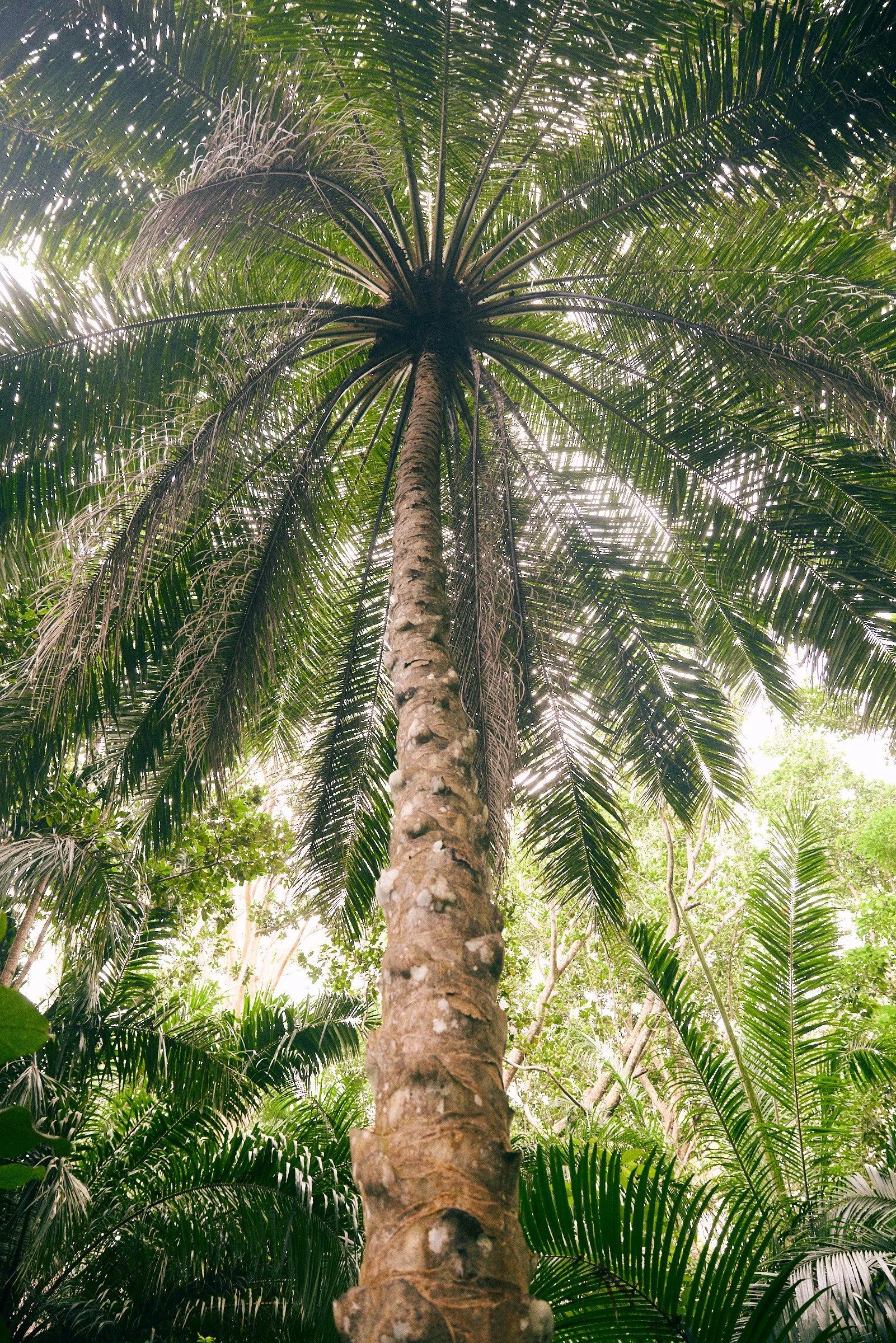 260716_julianwalter_zanzibar_2017.jpg