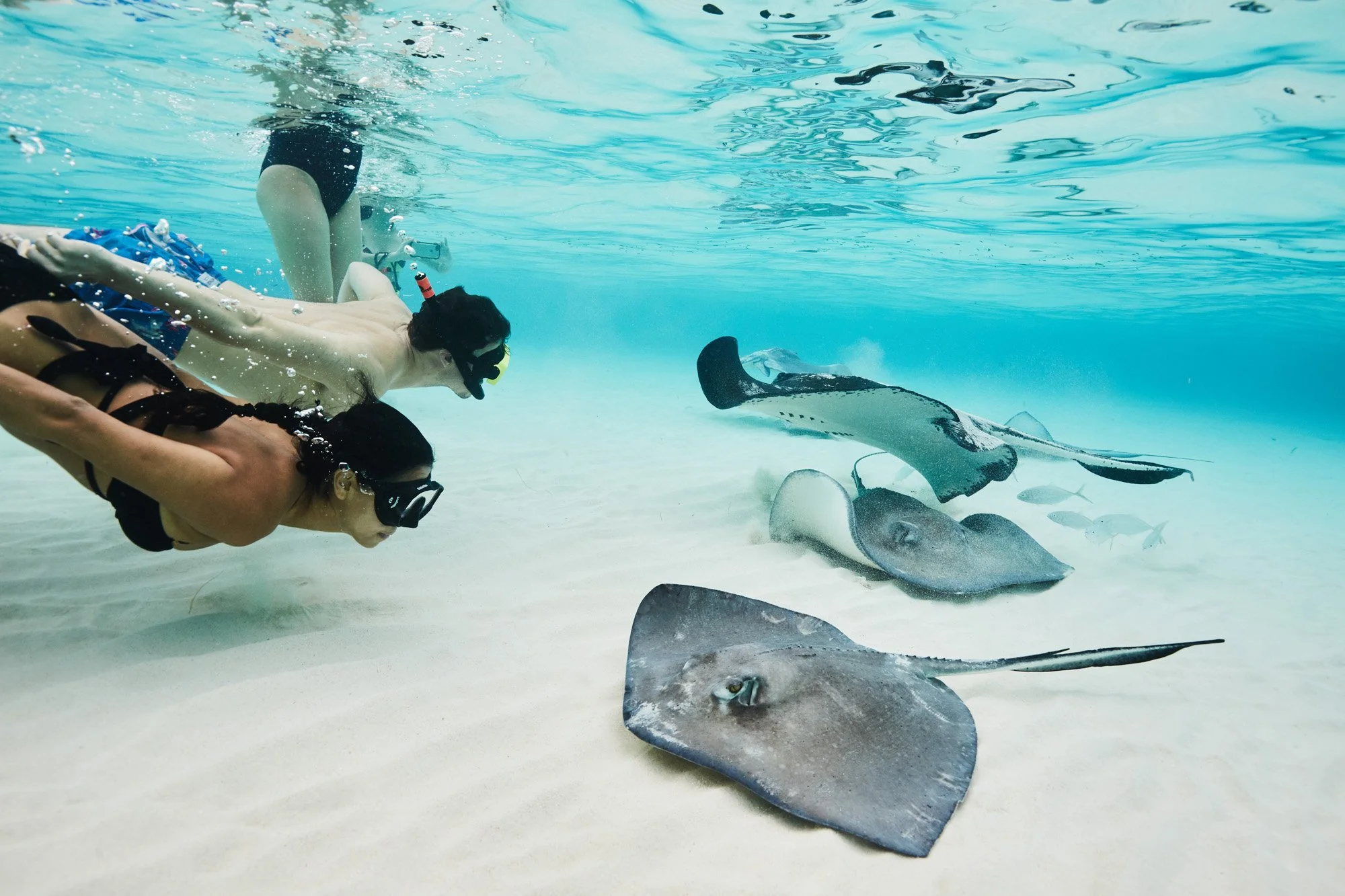 Two snorkelers, a man and a woman, underwater observing stingrays and fish on the sandy ocean floor in Grand Cayman Island