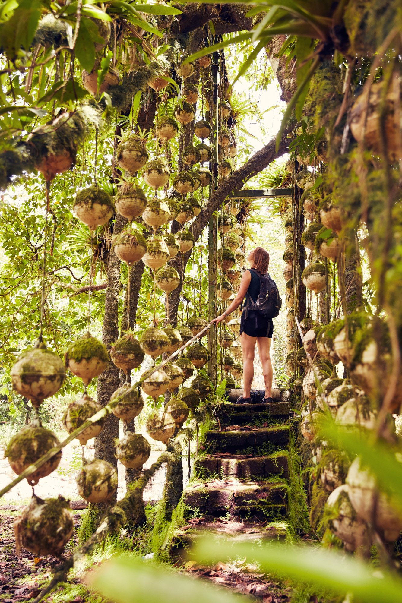 A woman with a backpack standing on moss-covered stone steps inside a lush, green, tropical forest surrounded by hanging epiphytes or orchids, on Cocos Island Costa Rica.
