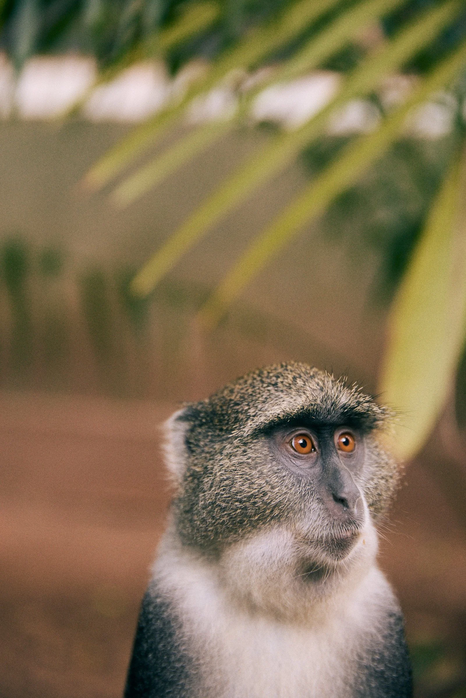 260716_julianwalter_zanzibar_1791.jpg