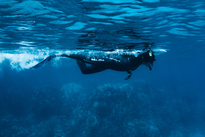 A person wearing a wetsuit and snorkeling gear swimming under the water near the surface at Honolulu Bay, Maui, Hawaii.