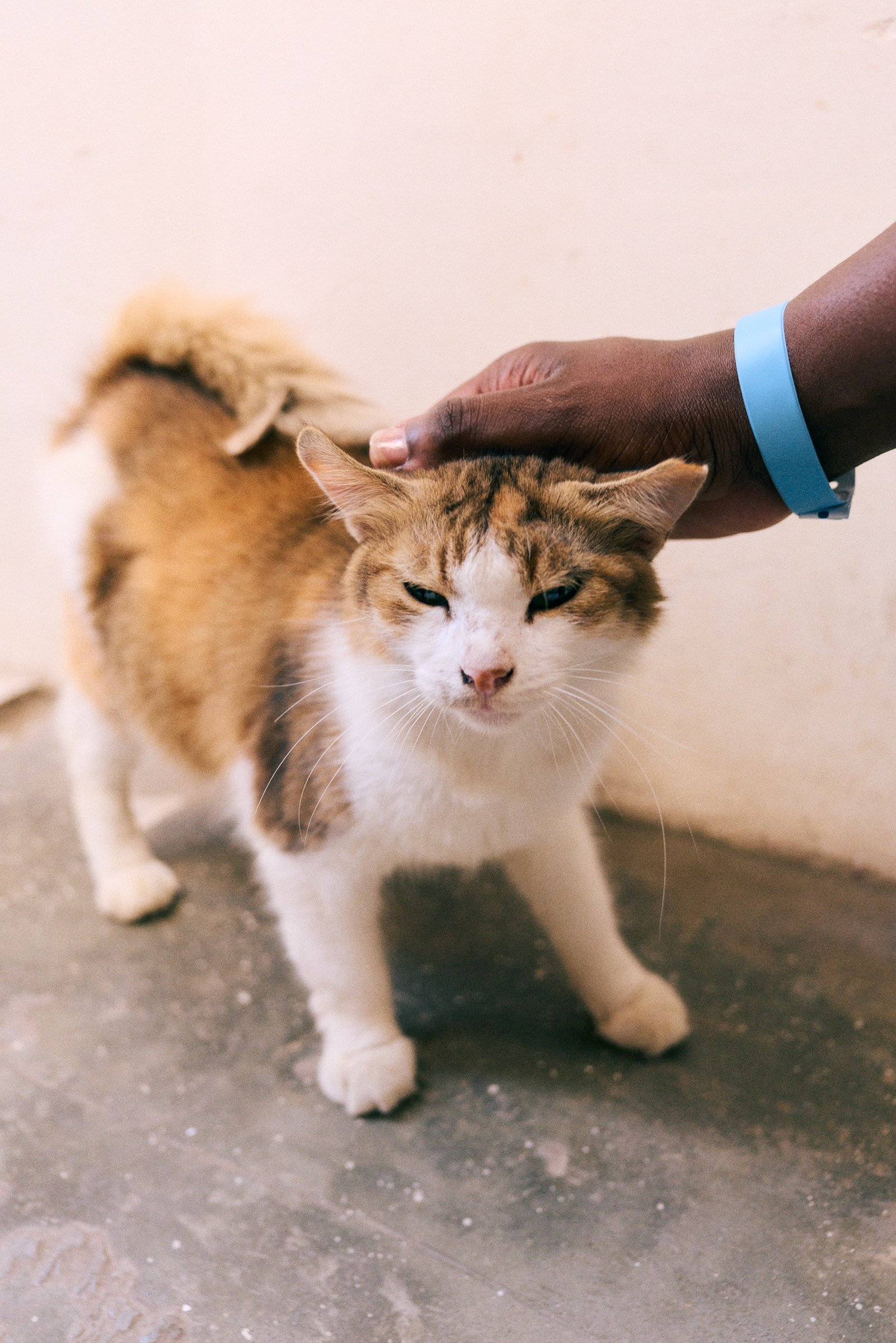 260715_julianwalter_zanzibar_1018.jpg