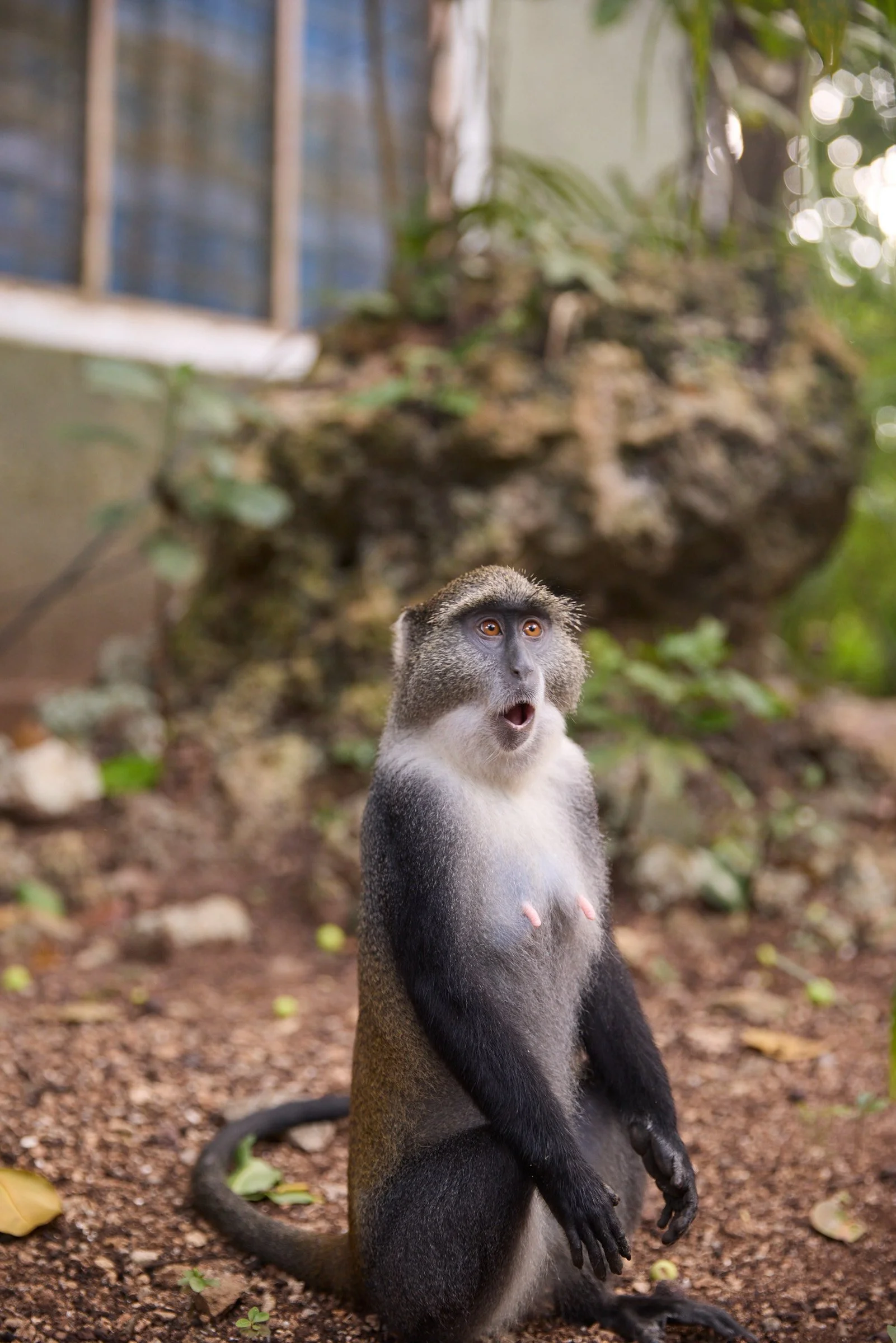 260716_julianwalter_zanzibar_1783.jpg