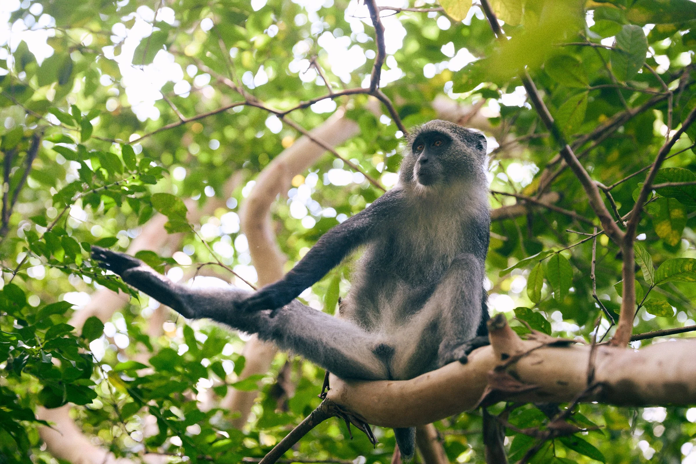 260716_julianwalter_zanzibar_2109.jpg