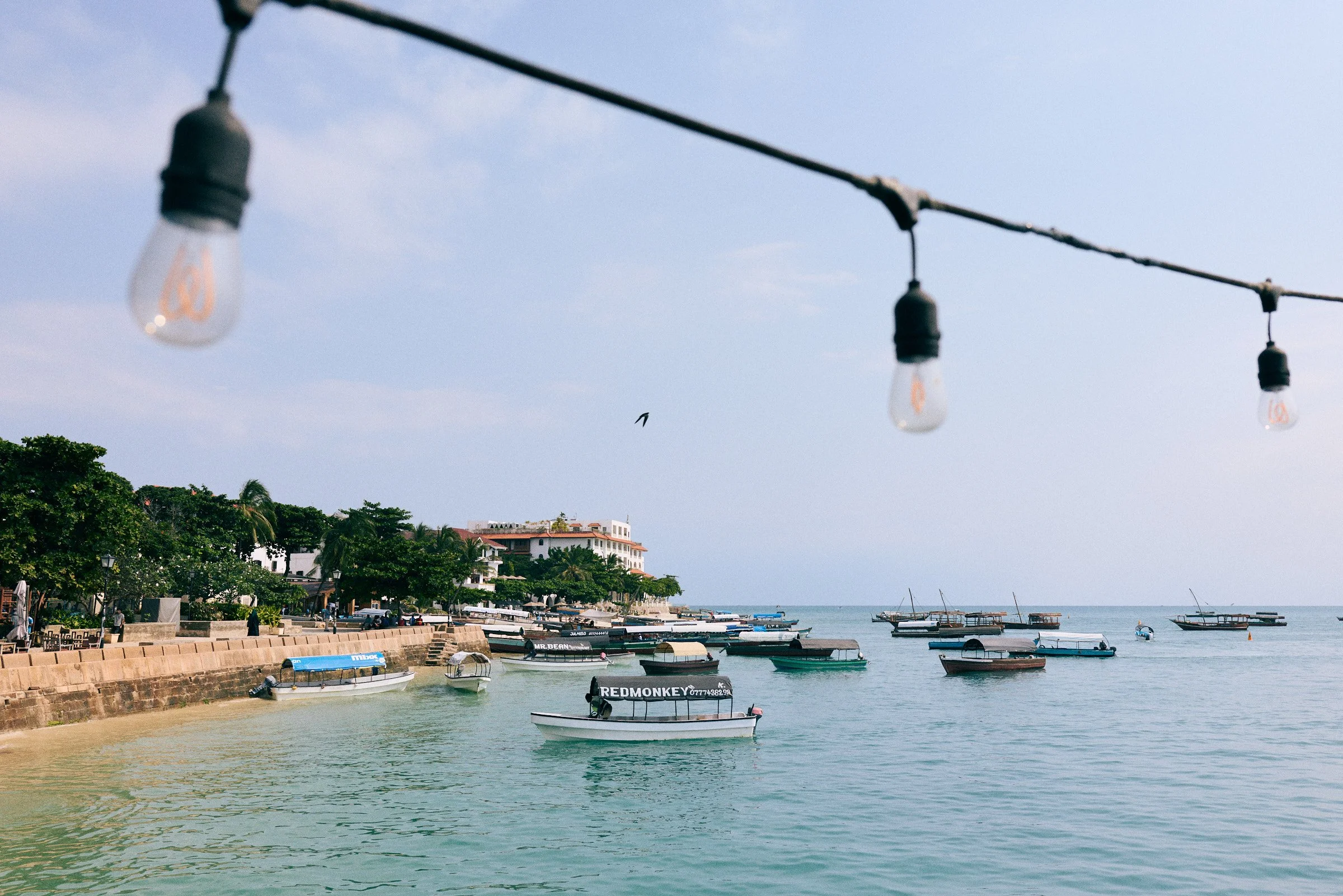 260715_julianwalter_zanzibar_1262.jpg