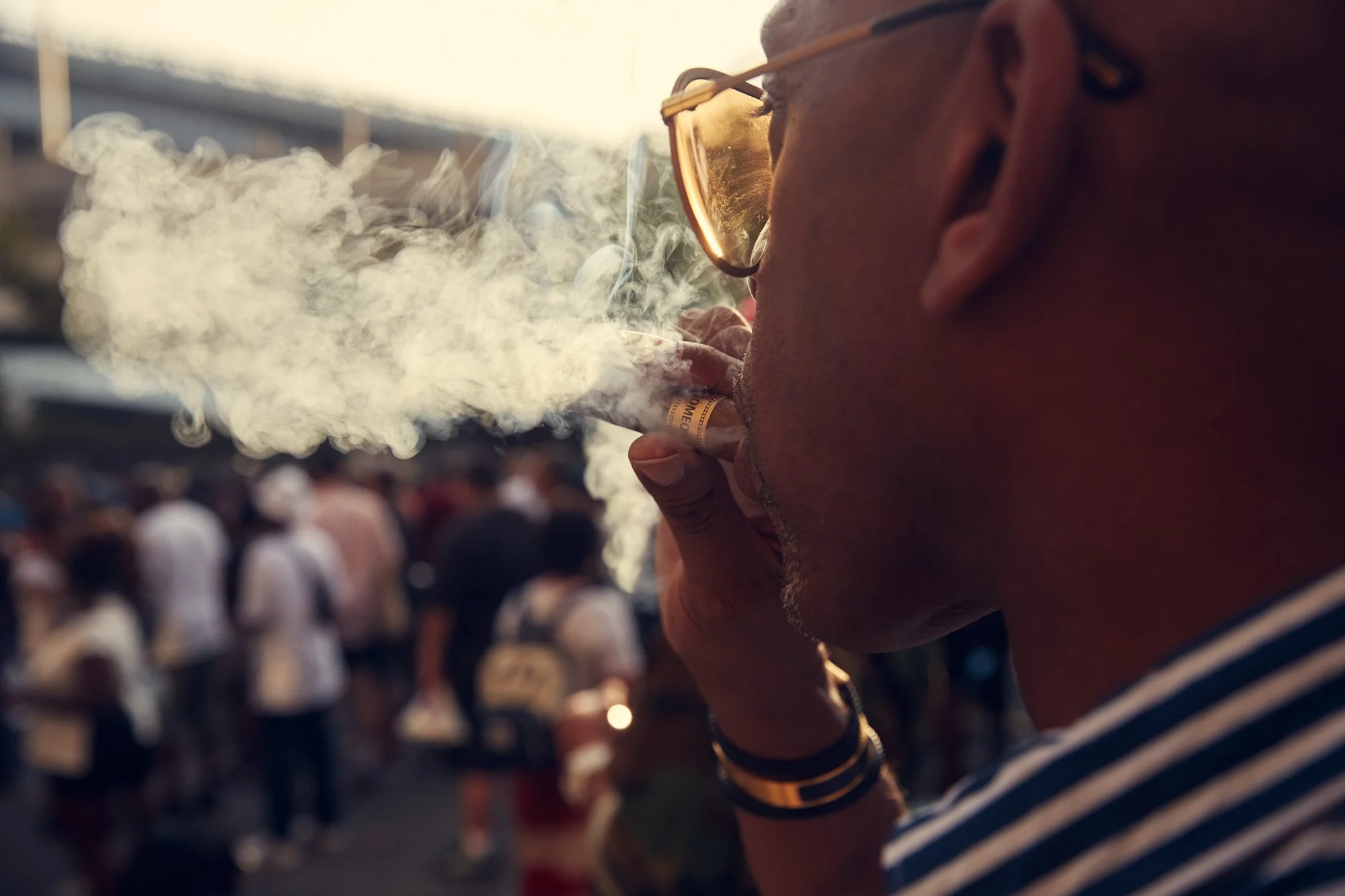 julianwalter-smoke-50yearshiphop-sedgwick-bronx-nyc.jpg