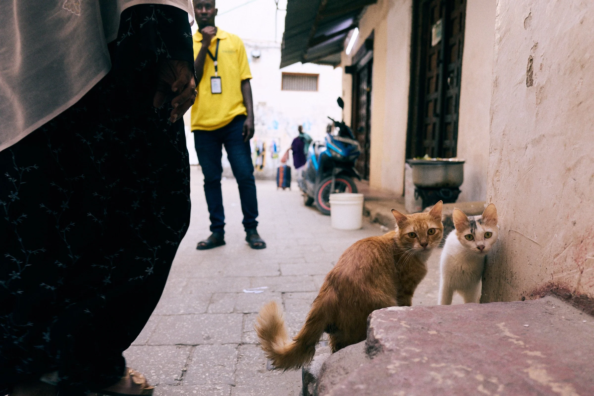 260715_julianwalter_zanzibar_1217.jpg