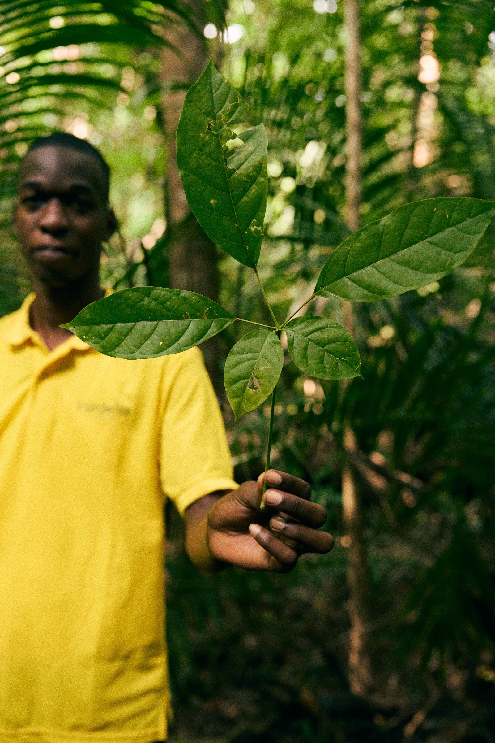 260716_julianwalter_zanzibar_2057.jpg