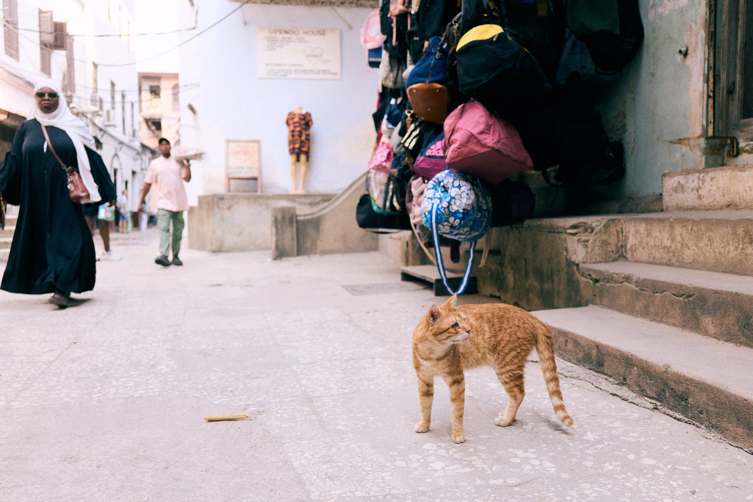 260715_julianwalter_zanzibar_1153.jpg