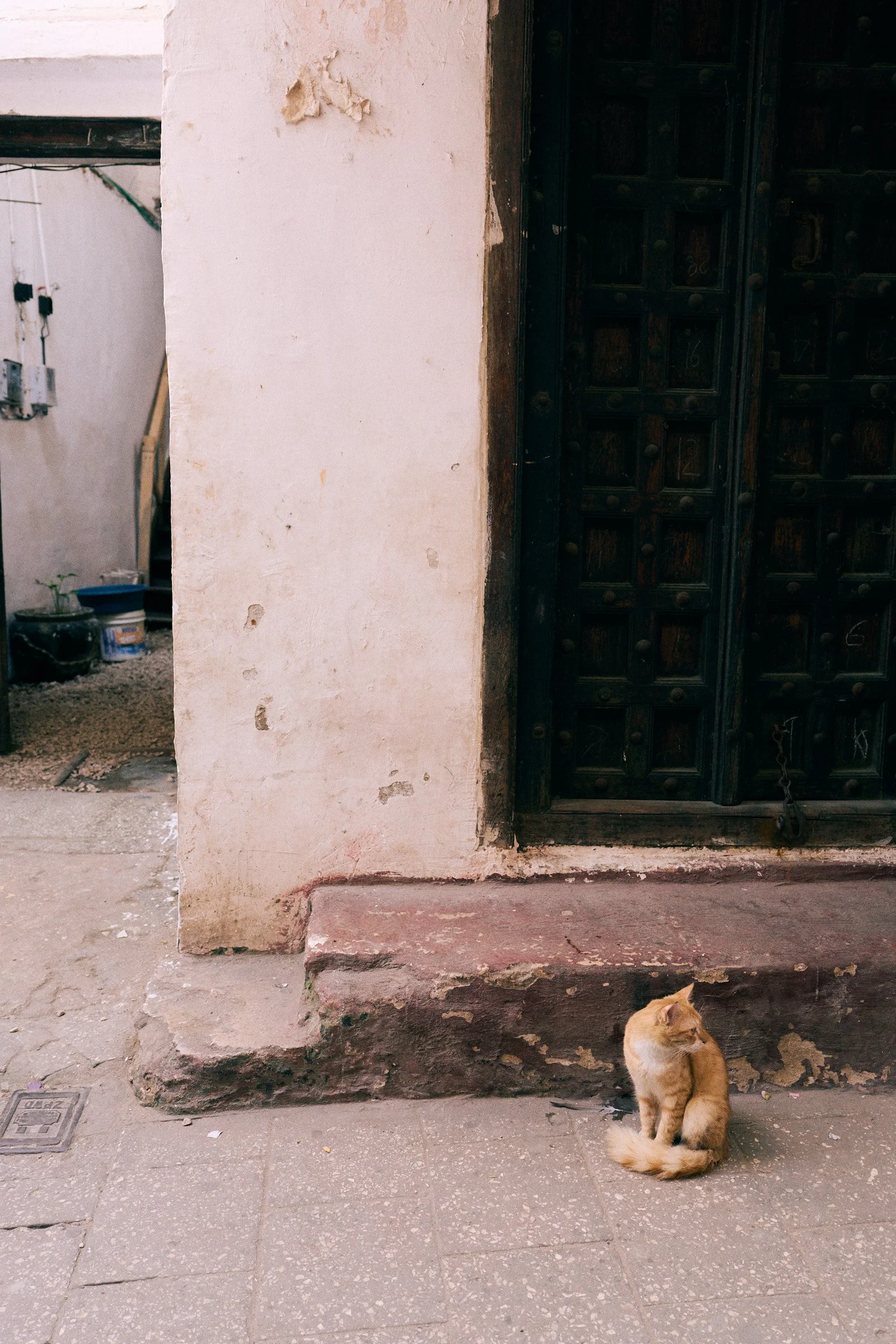 260715_julianwalter_zanzibar_1199.jpg