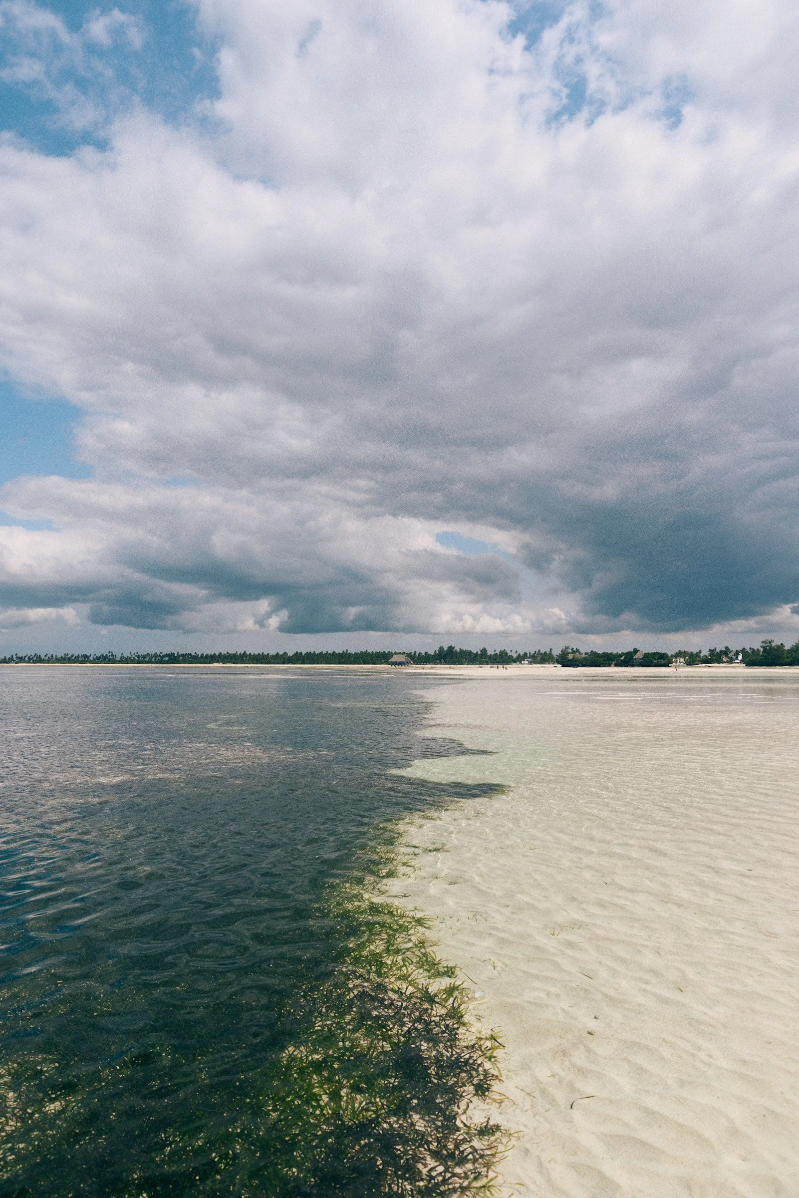 260719_julianwalter_zanzibar_12207.jpg