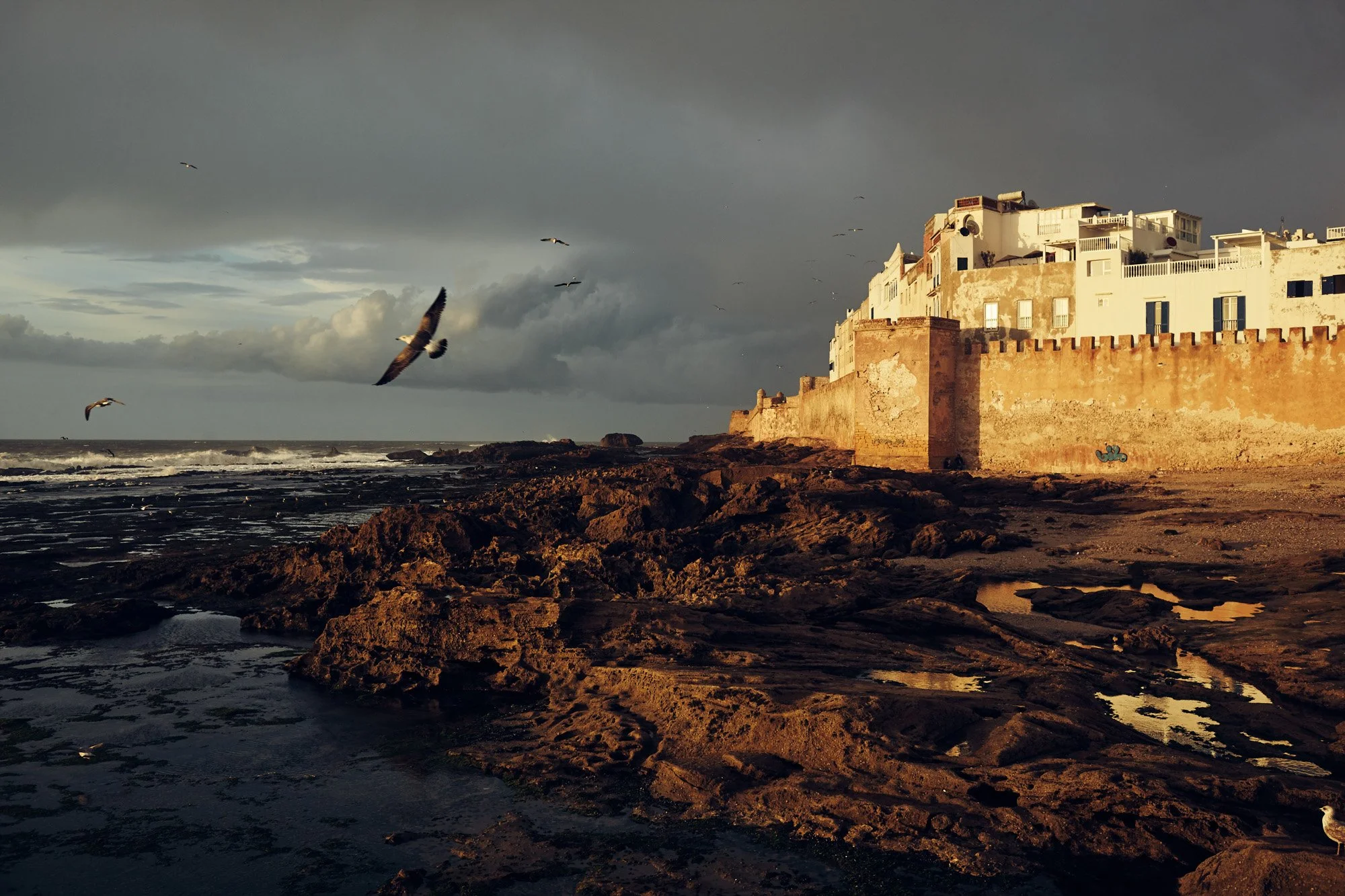 Coastal scene in Essaouira Morocco, with rocky shoreline, seagulls flying, and historic buildings with white facades and flat roofs on a sunny day with dark clouds in the sky.