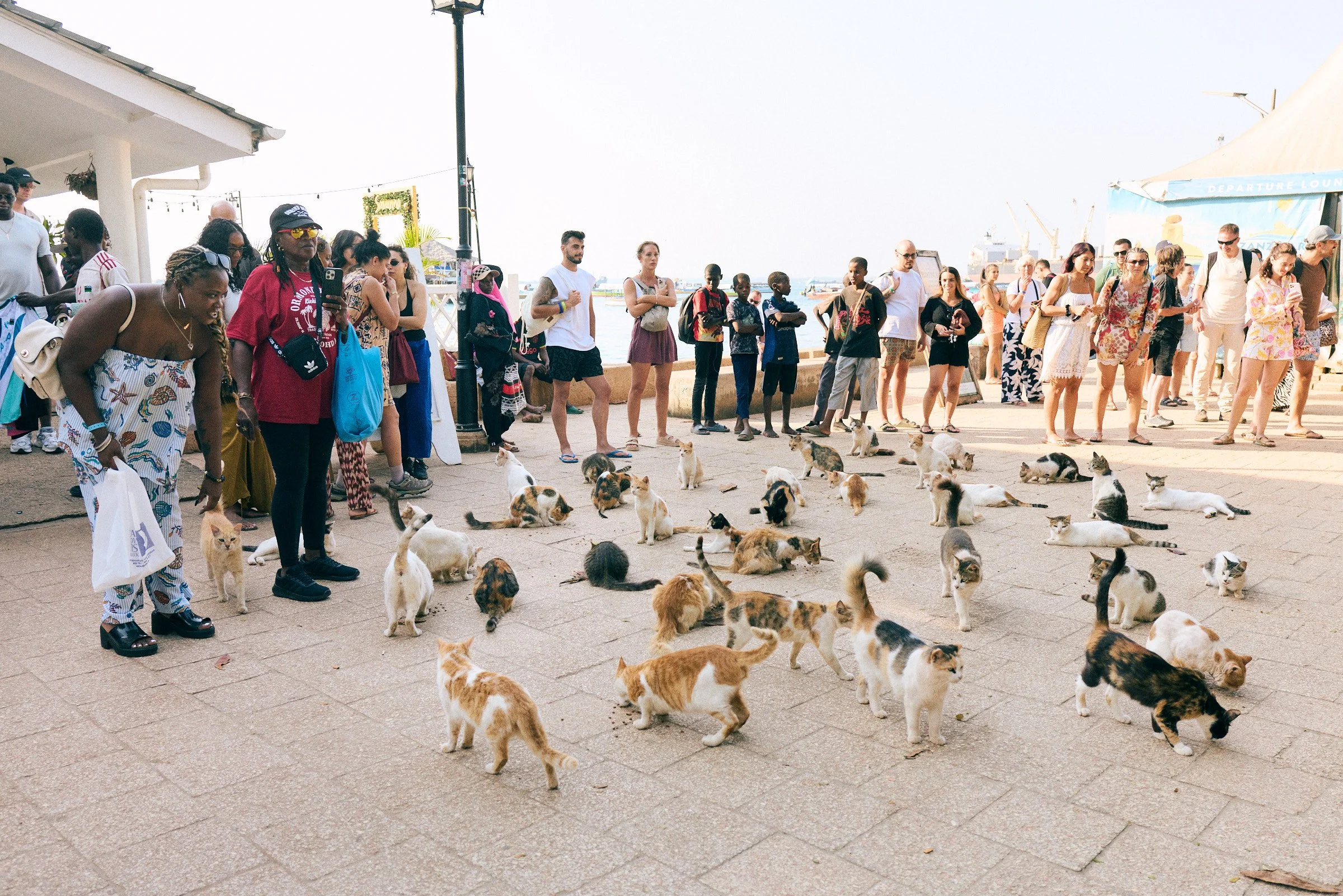 260715_julianwalter_zanzibar_1459.jpg