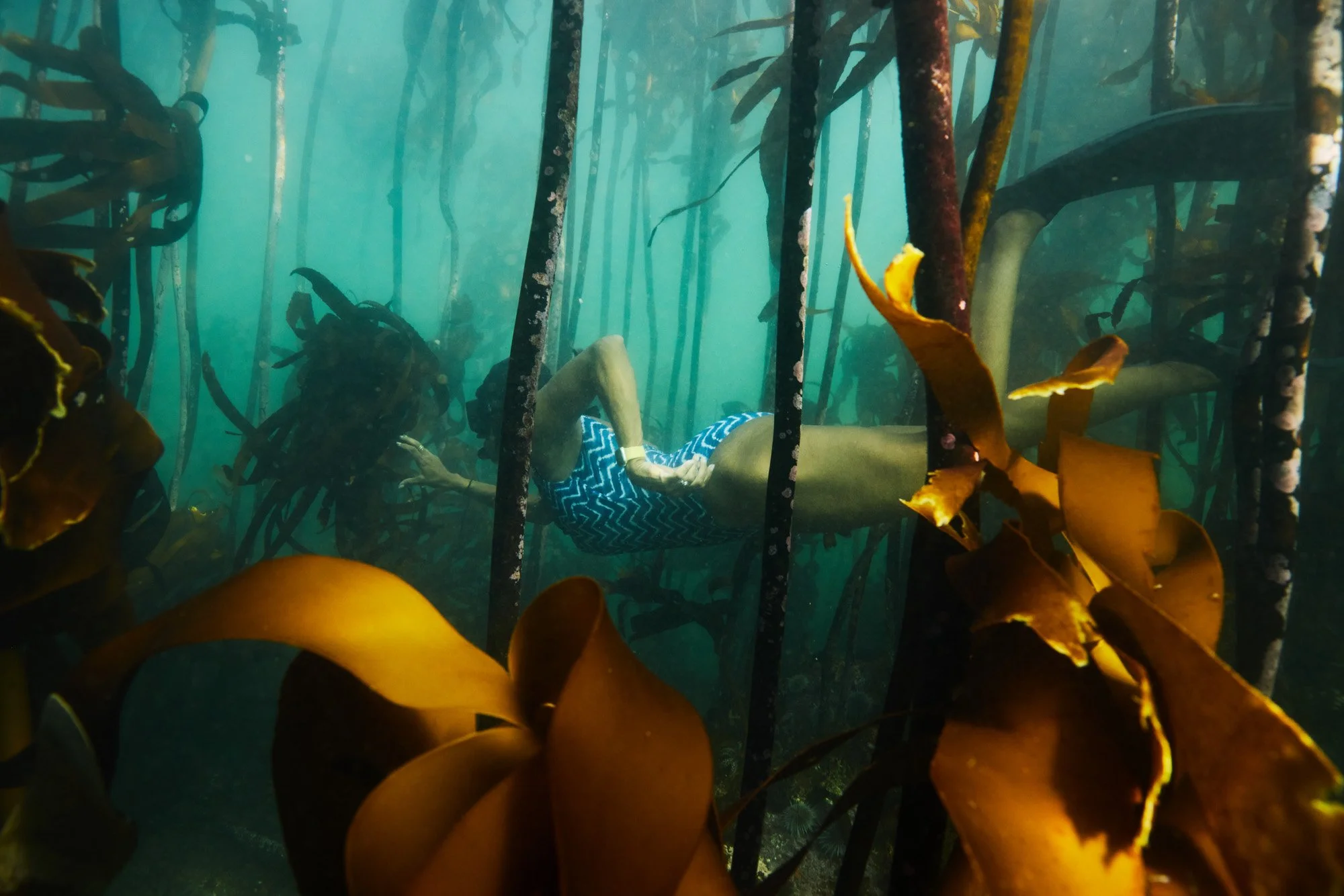 A woman Swati Thiyagarajan swimming underwater surrounded by seaweed in a kelp forest.