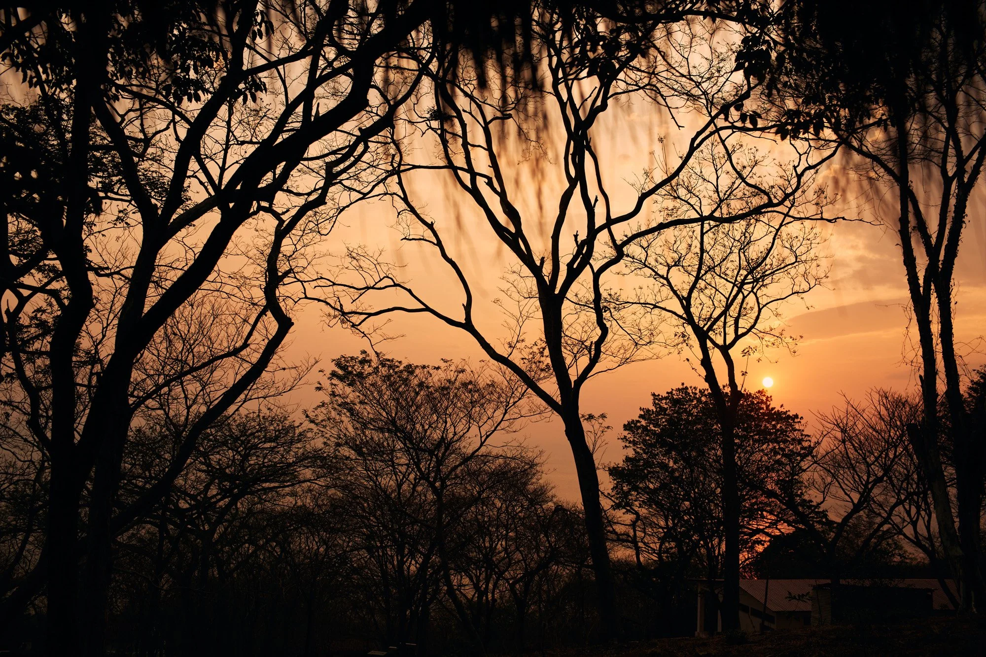 Silhouetted leafless trees against a sunset sky with warm orange and yellow hues, and a small house partially visible in the lower right corner, in Nicaragua.