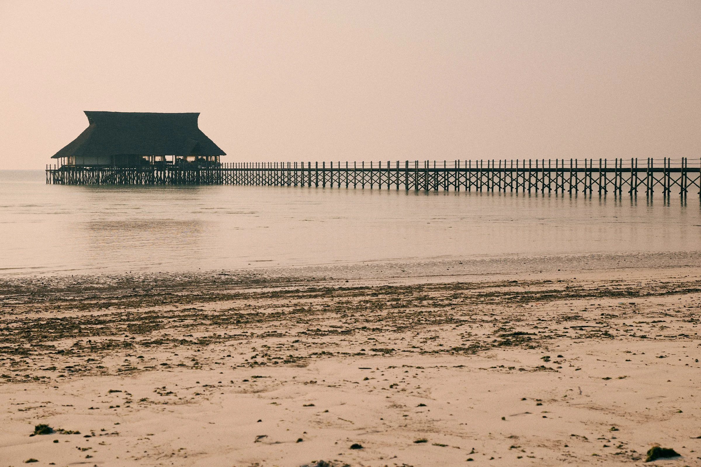260717_julianwalter_zanzibar_3374.jpg