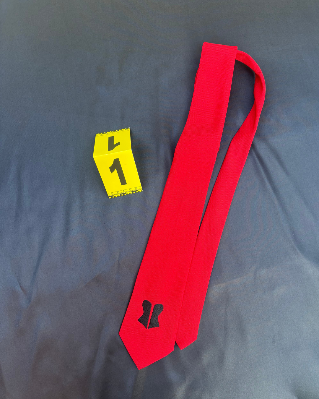 Ruby Official Tie