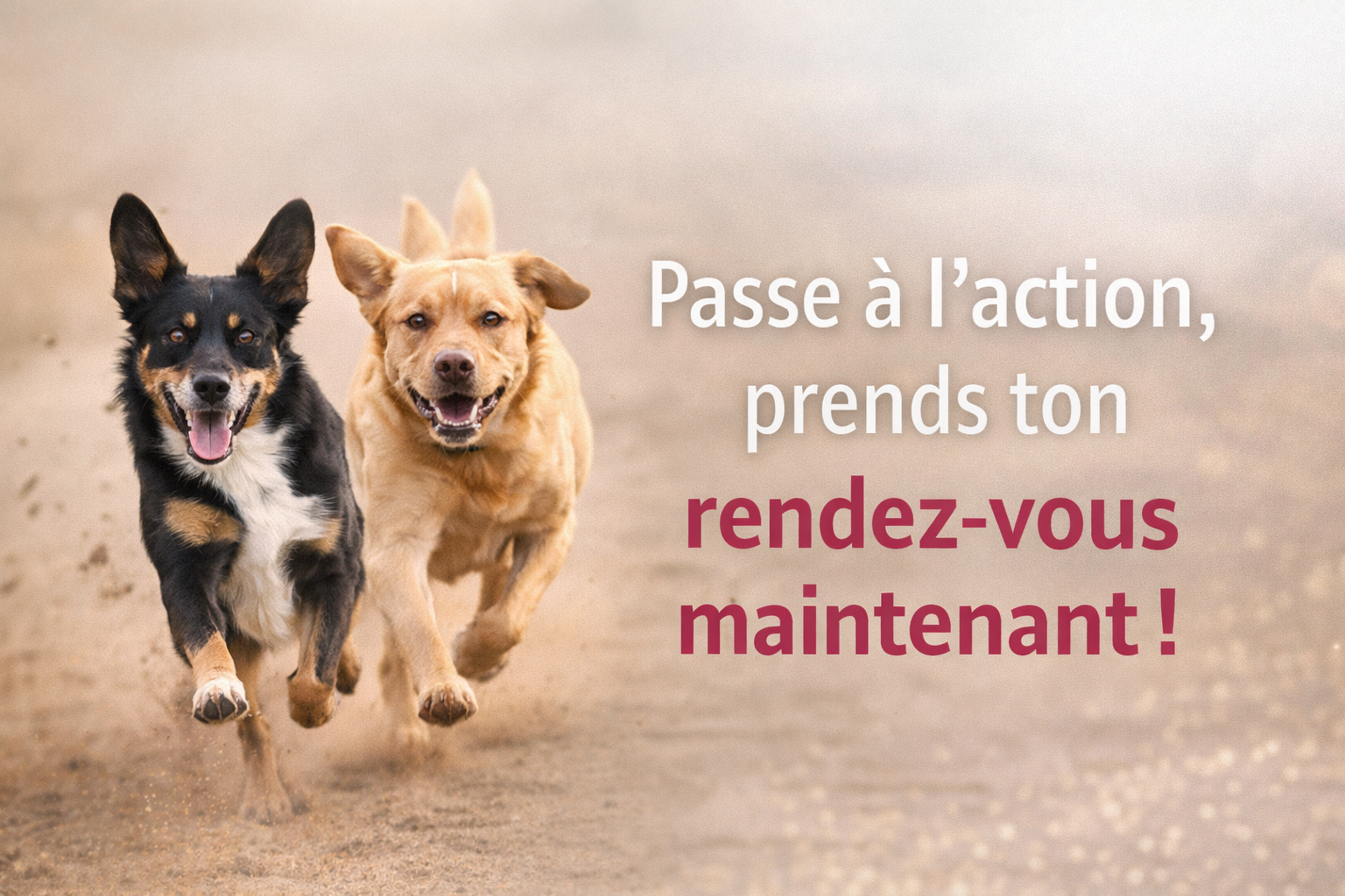 Deux chiens courant sur une plage avec un message en français : "Passe à l'action, prends ton rendez-vous maintenant !"
