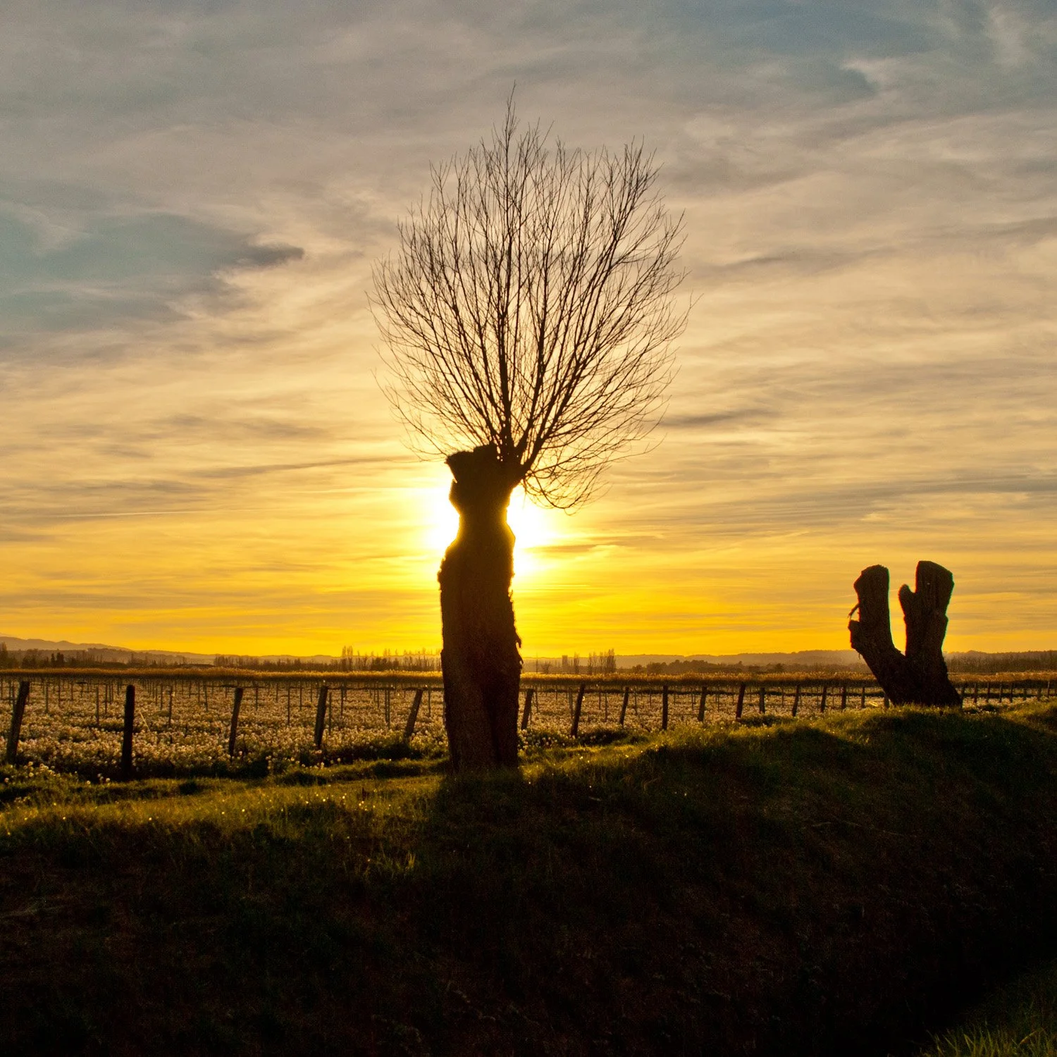 Mère et fillette - Etang Asséché de Marseillette - Aude - Occitanie
