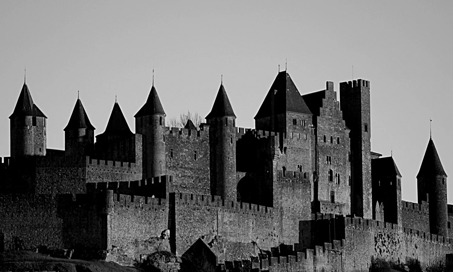 La Cité Carcassonne - France