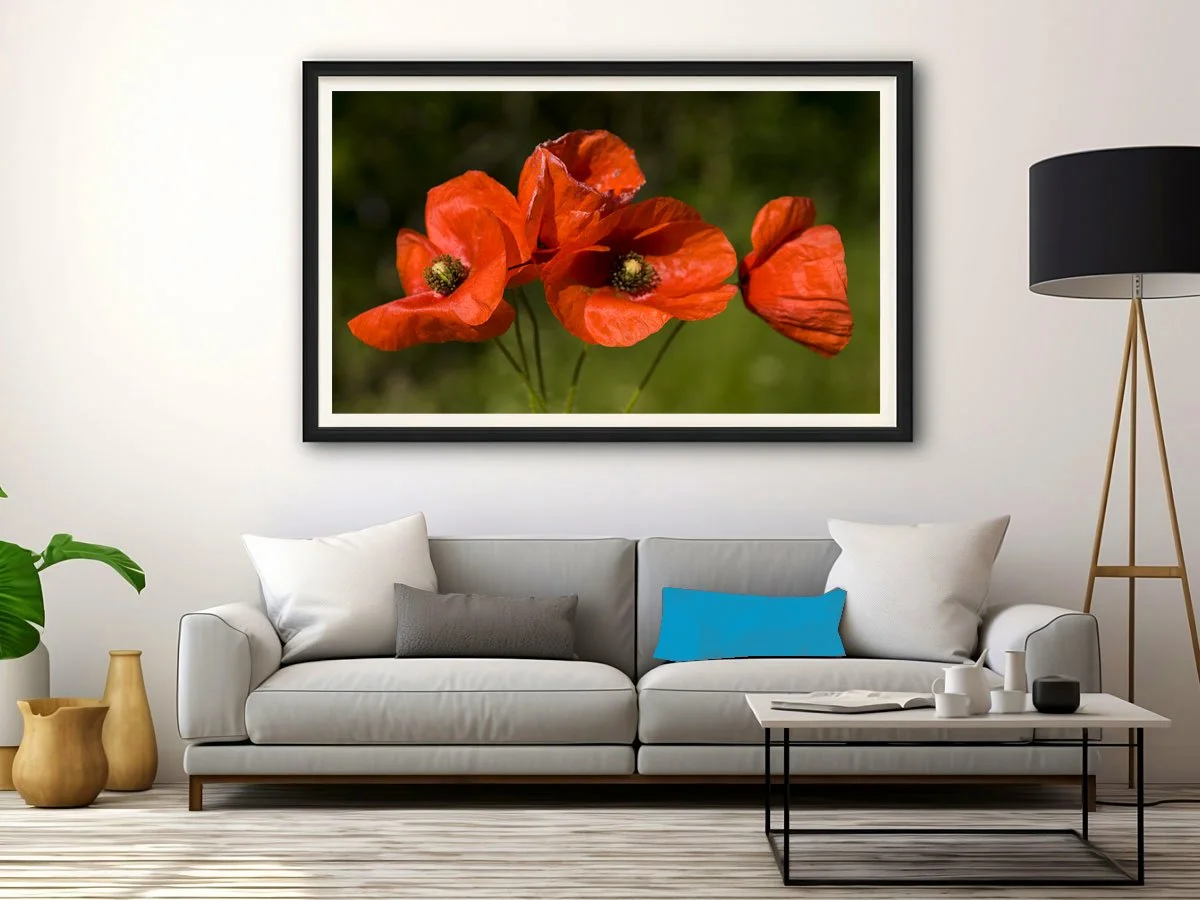 valmue sofa_edited-3.jpg