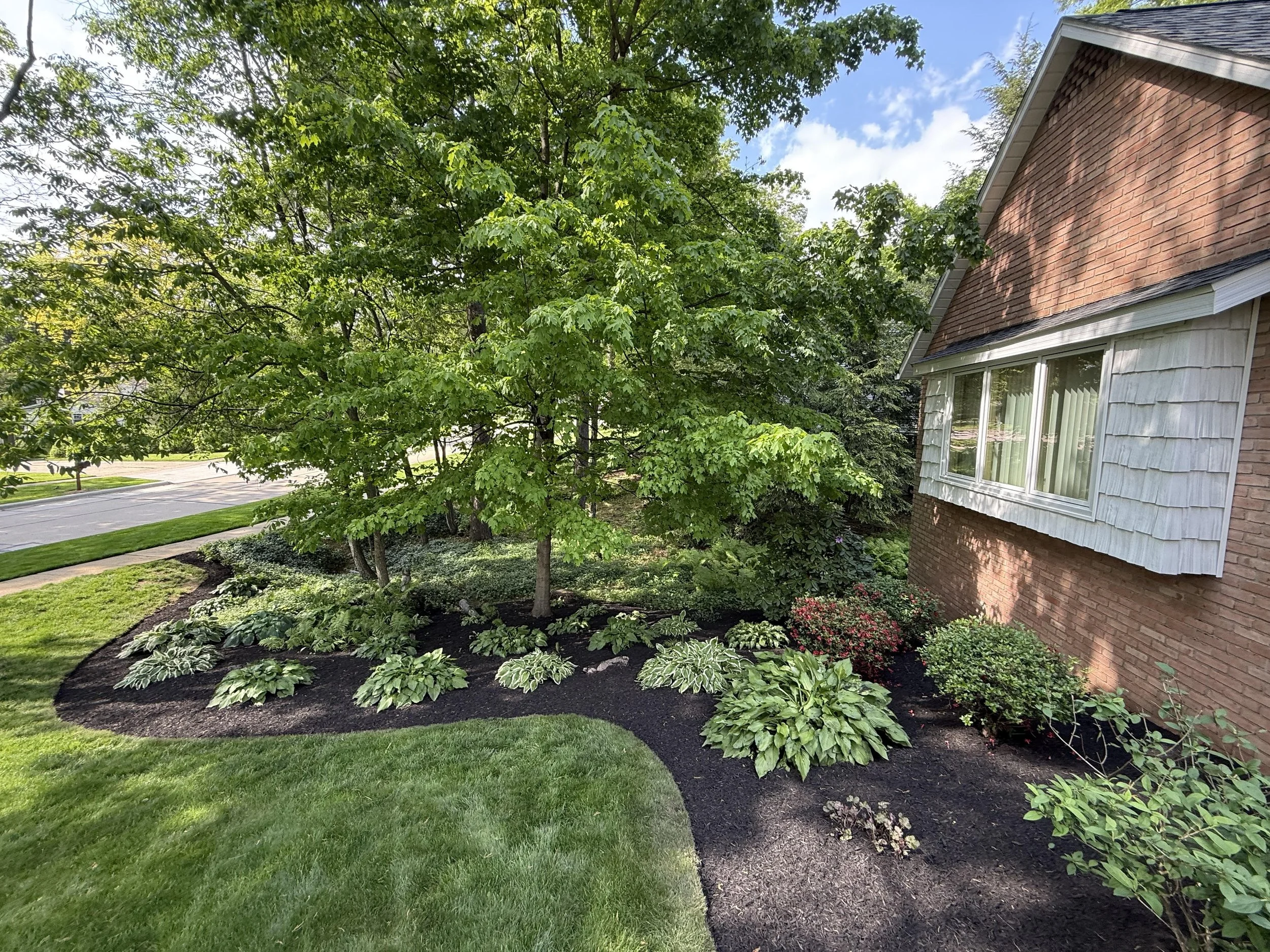 A front yard with a lush green tree, landscaped garden beds with various plants, and a brick house with a porch. The garden is bordered with dark mulch and has a well-maintained lawn.