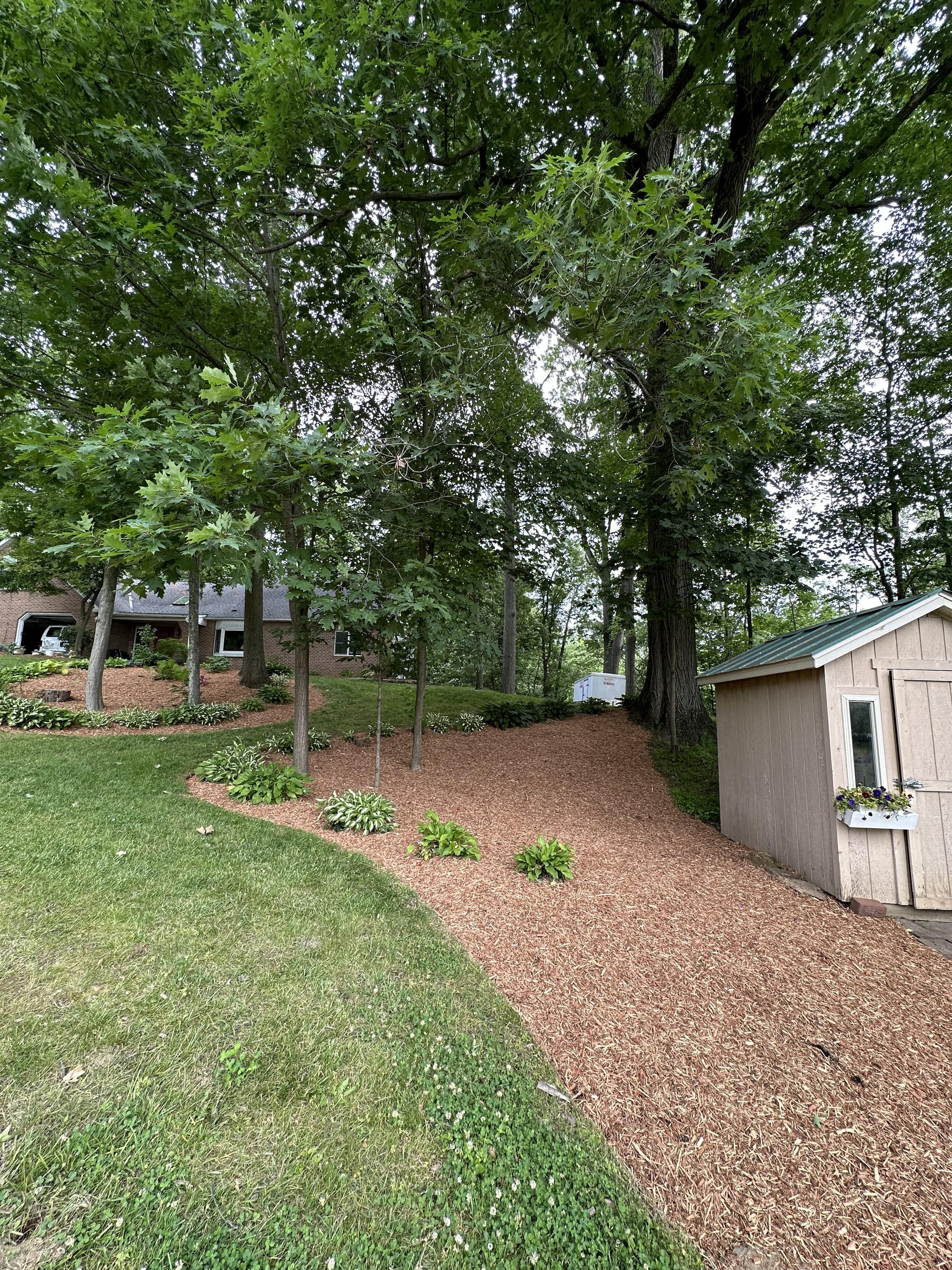 Backyard with green lawn, mulch beds, trees, and a small shed with flower boxes.