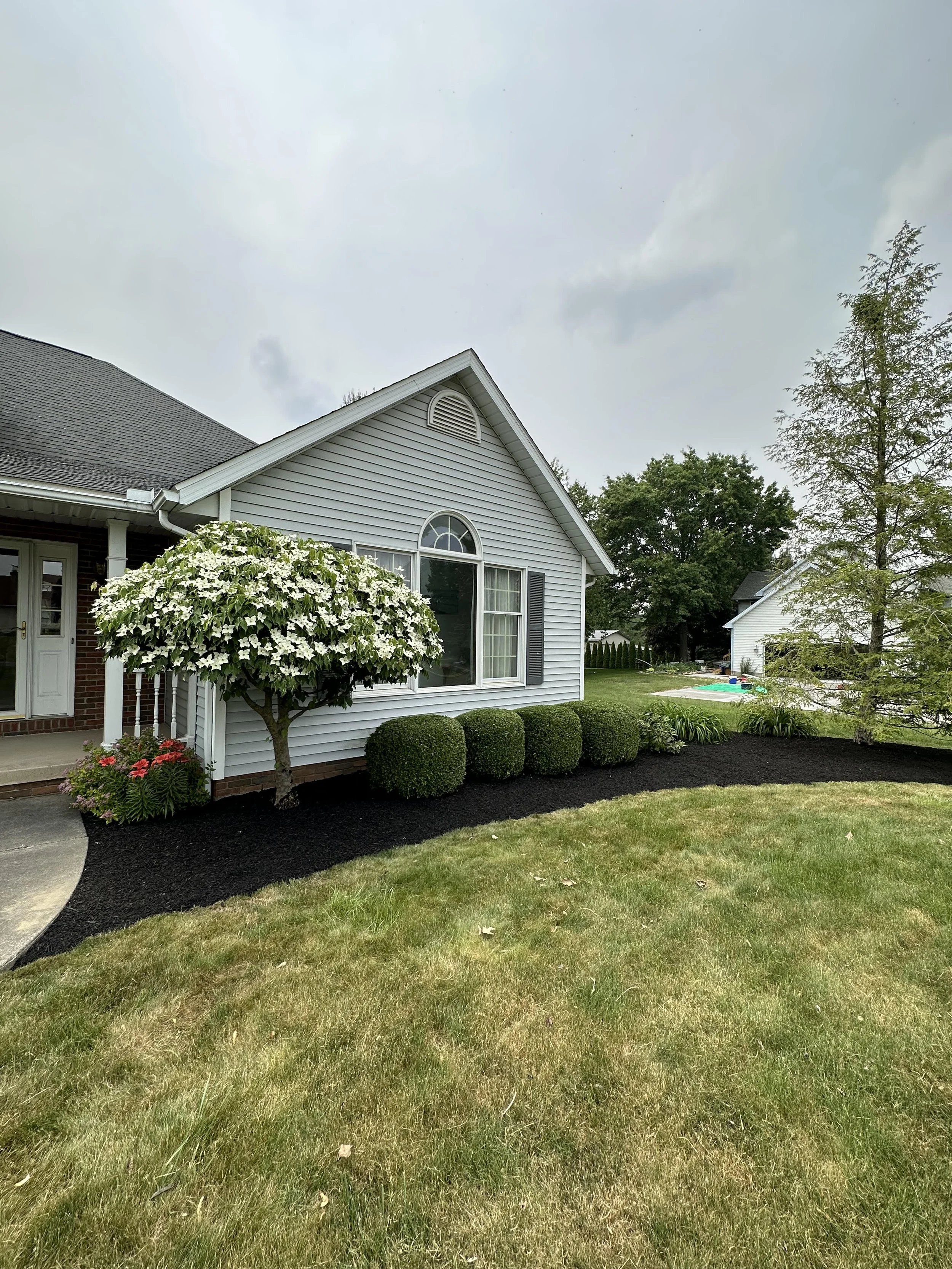 Front yard of a house with a flowered tree, neatly trimmed bushes, and a well-maintained lawn under an overcast sky.