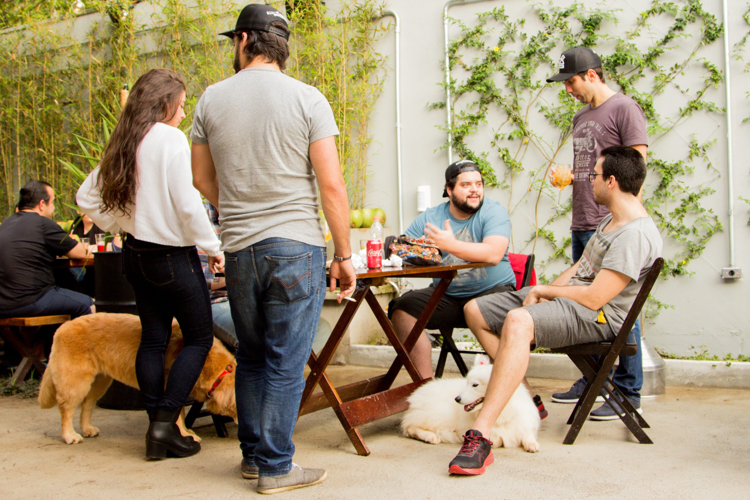 Bar pet friendly no Brooklin: seu melhor amigo é bem-vindo no BKIN