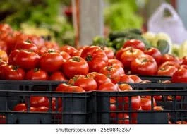Tomatoess