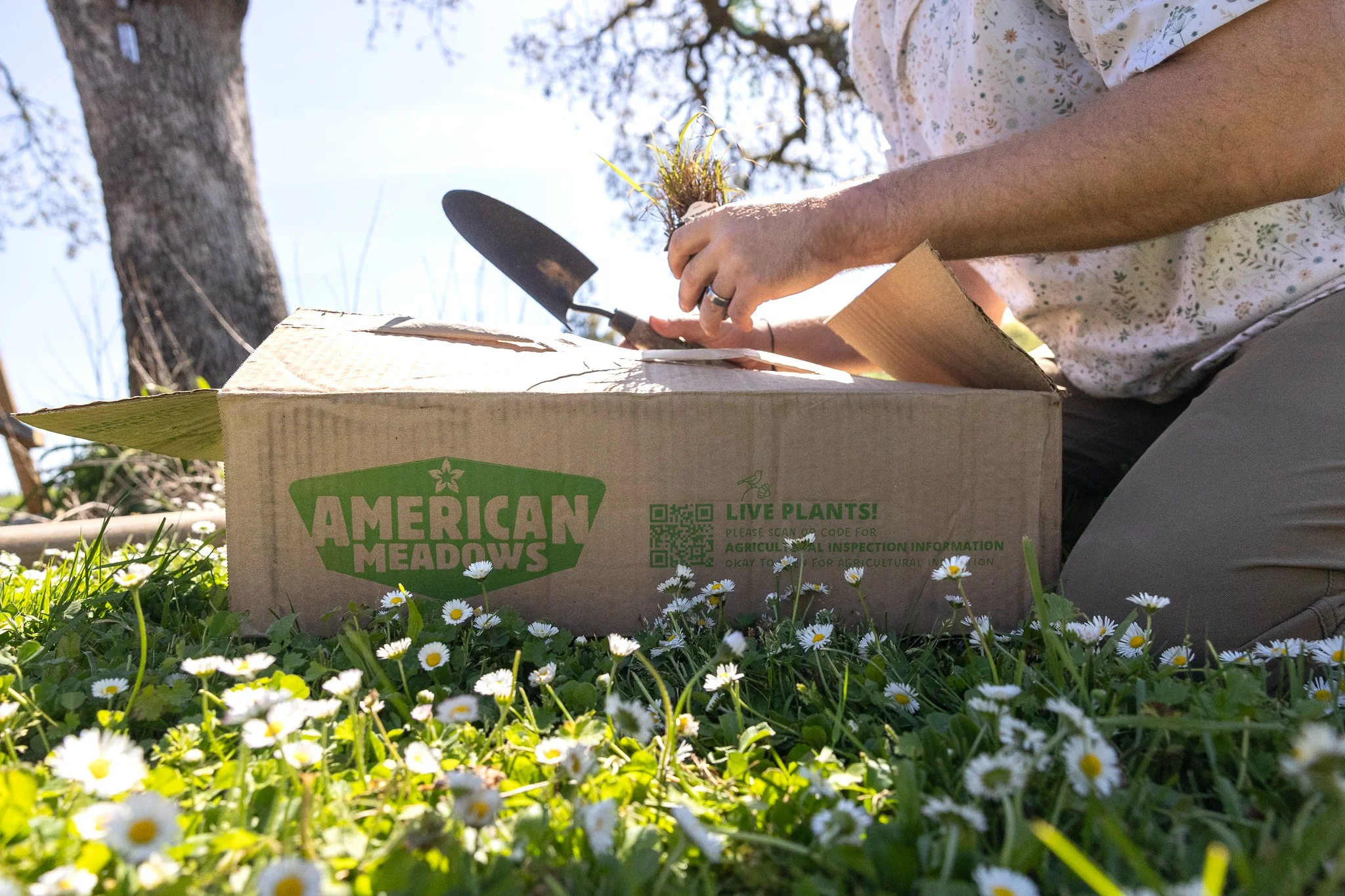 Person planting a seed in a small pot from a cardboard box labeled 'American Meadows' outdoors with daisies and a tree in the background.